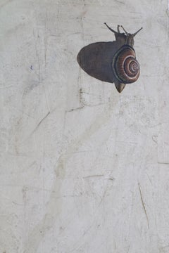 Snail