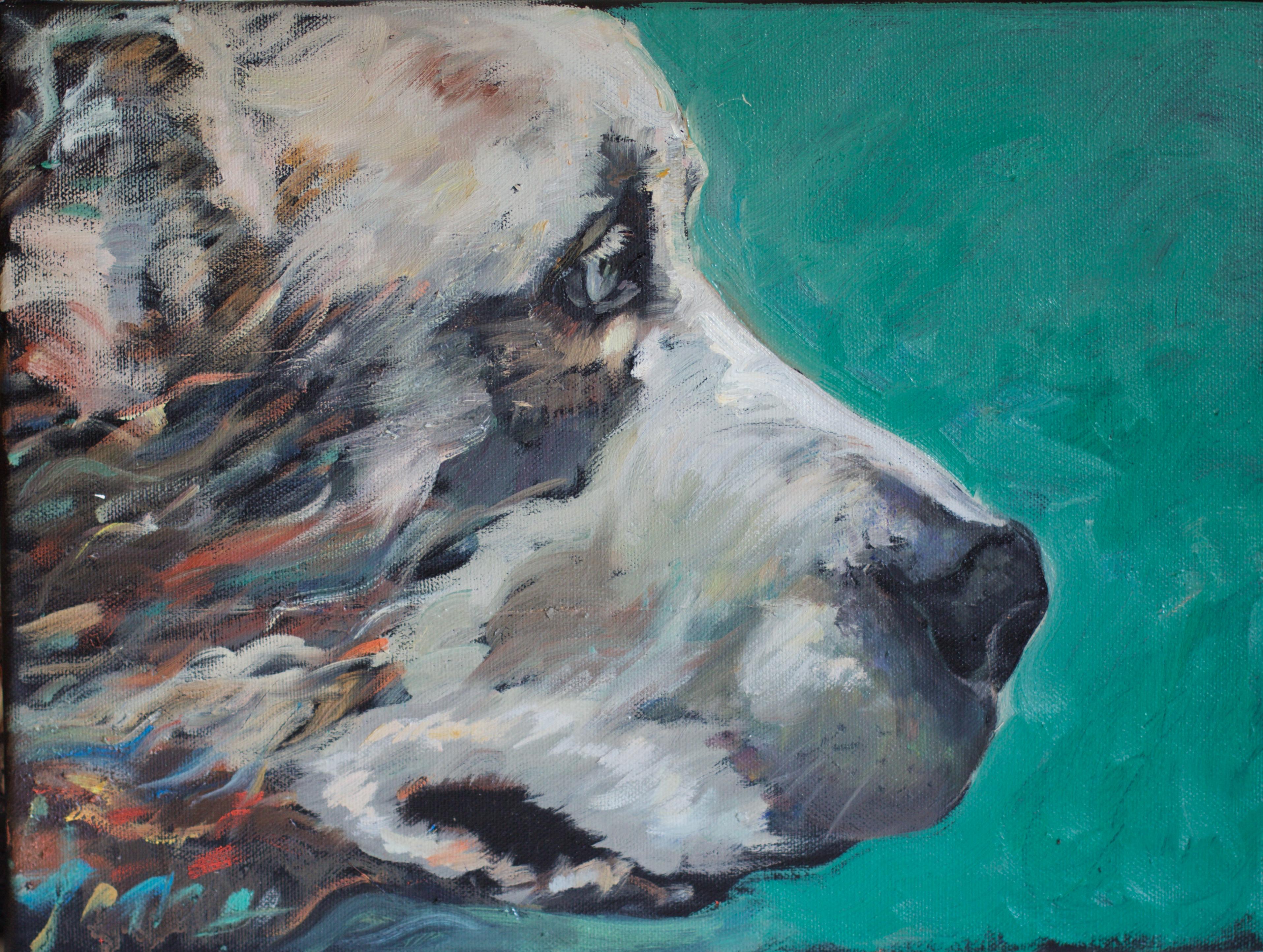 Animal Animal Paintings