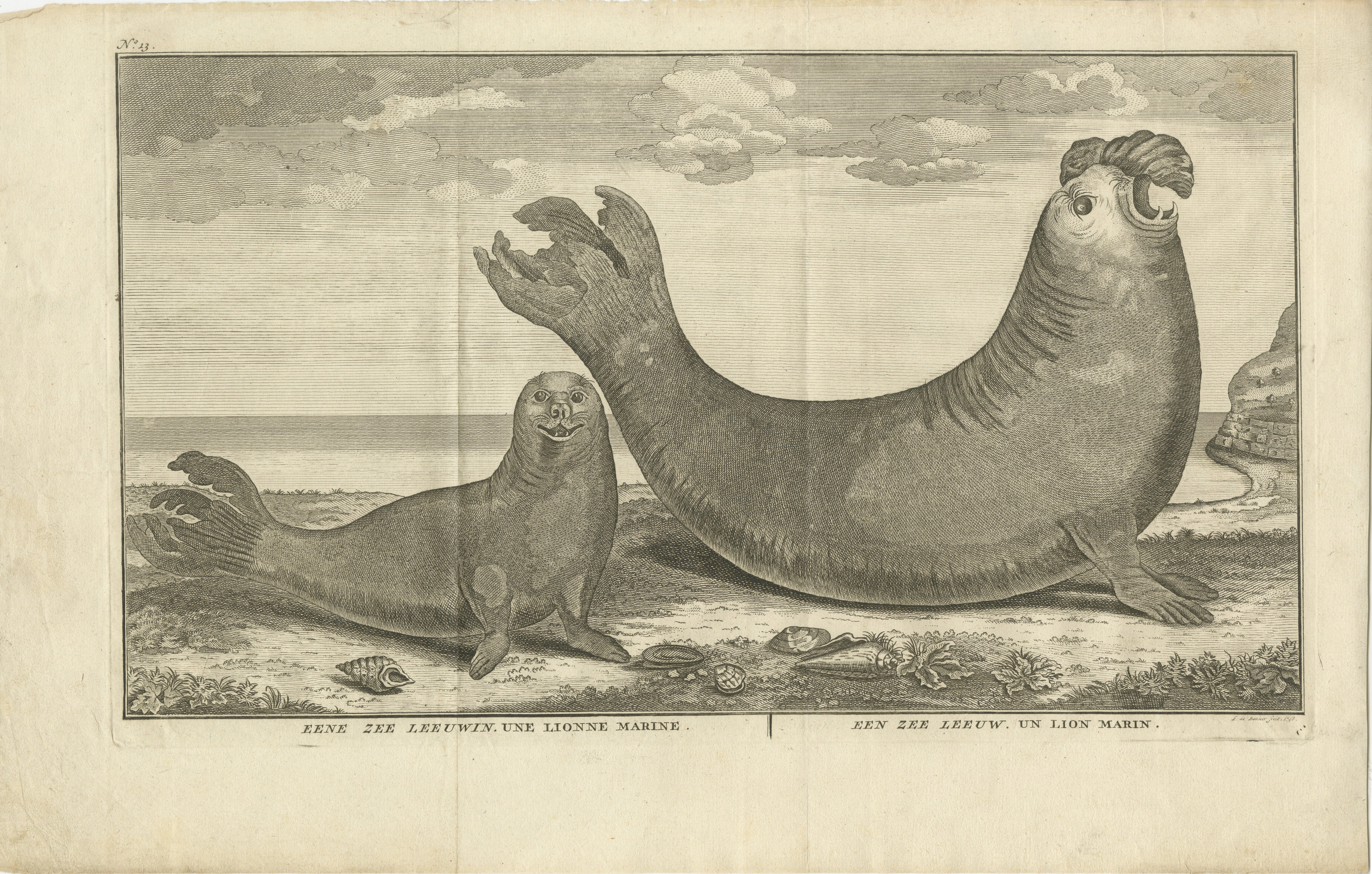 Se trata de un grabado que representa leones marinos, extraído de una edición holandesa de 1765 del relato del viaje alrededor del mundo de George Anson. Aquí tienes una descripción detallada de la obra de arte:

Título: 