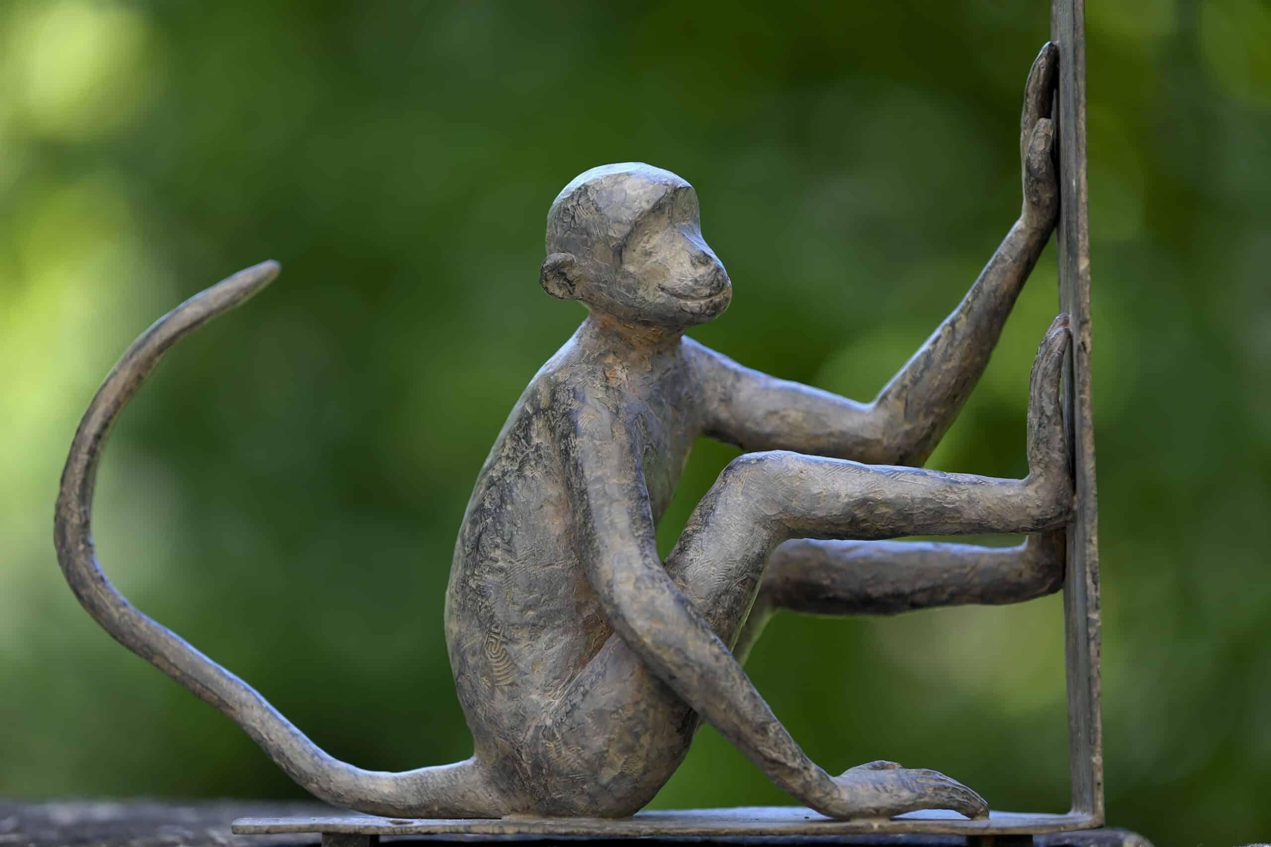 Baboune par Marine de Soos, sculpture animalière en bronze, singe, figurative, sauvage en vente 1