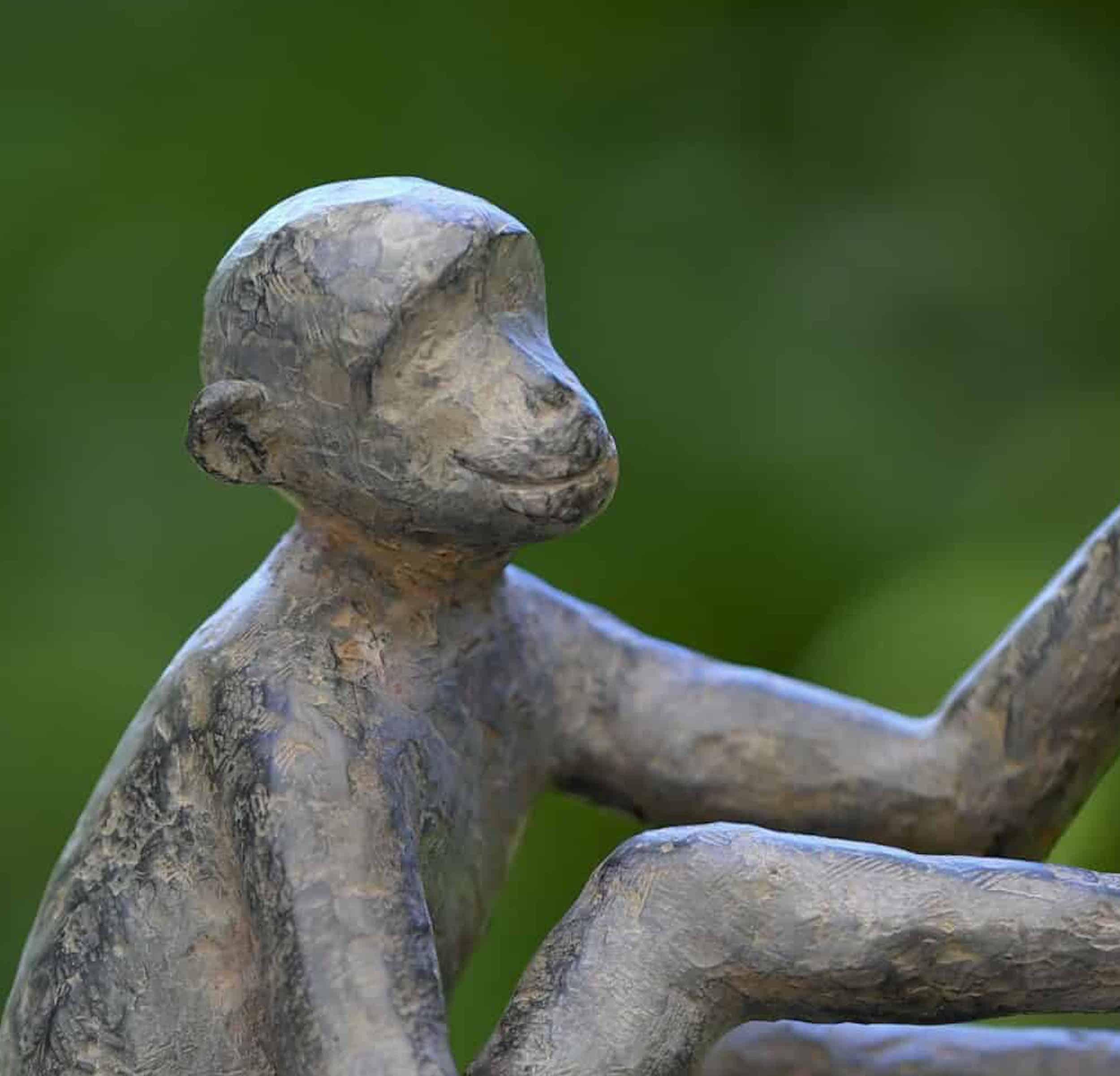 Baboune by Marine de Soos - Escultura animal de bronce, mono, figurativa, salvaje en venta 2