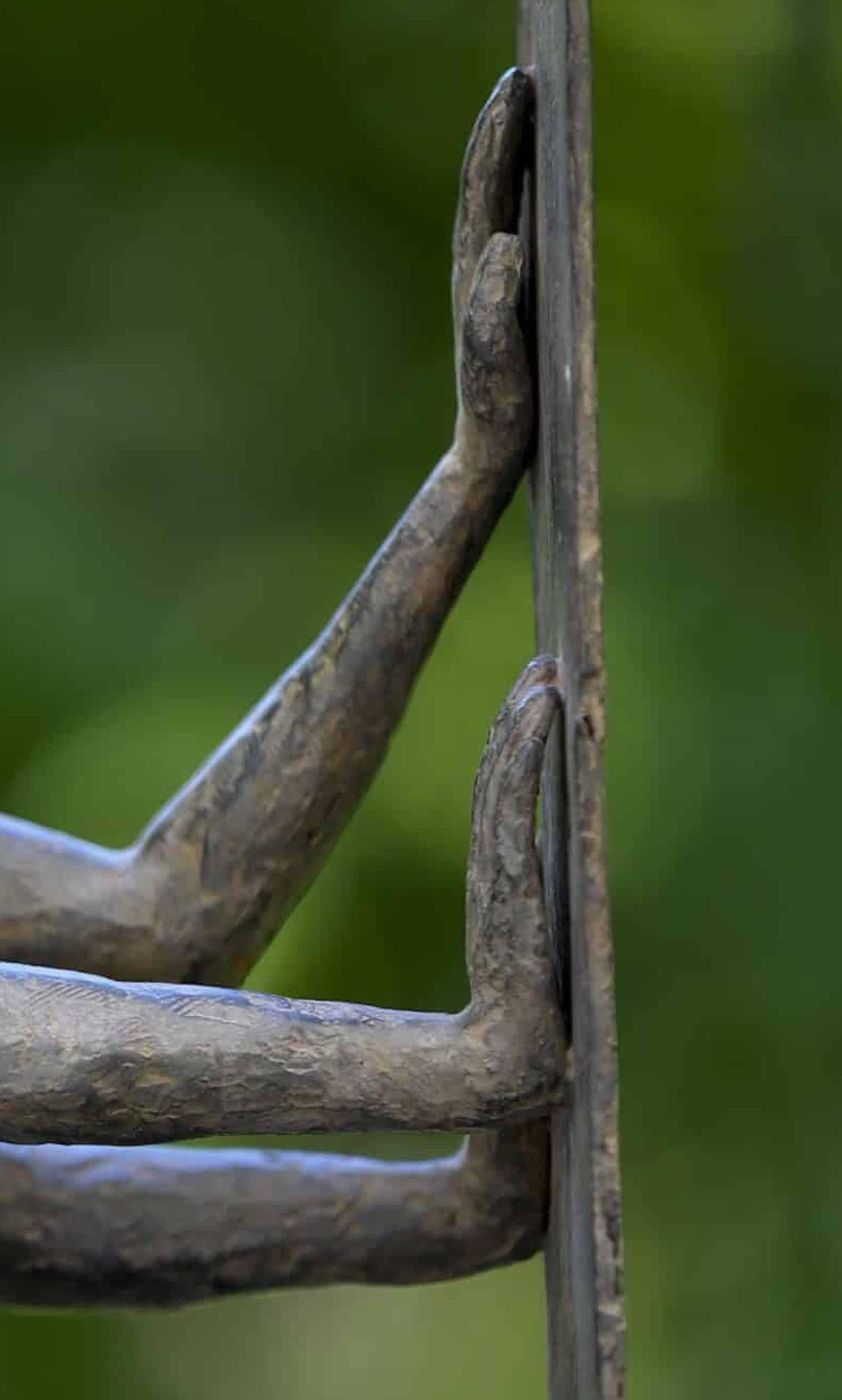 Baboune par Marine de Soos, sculpture animalière en bronze, singe, figurative, sauvage en vente 3