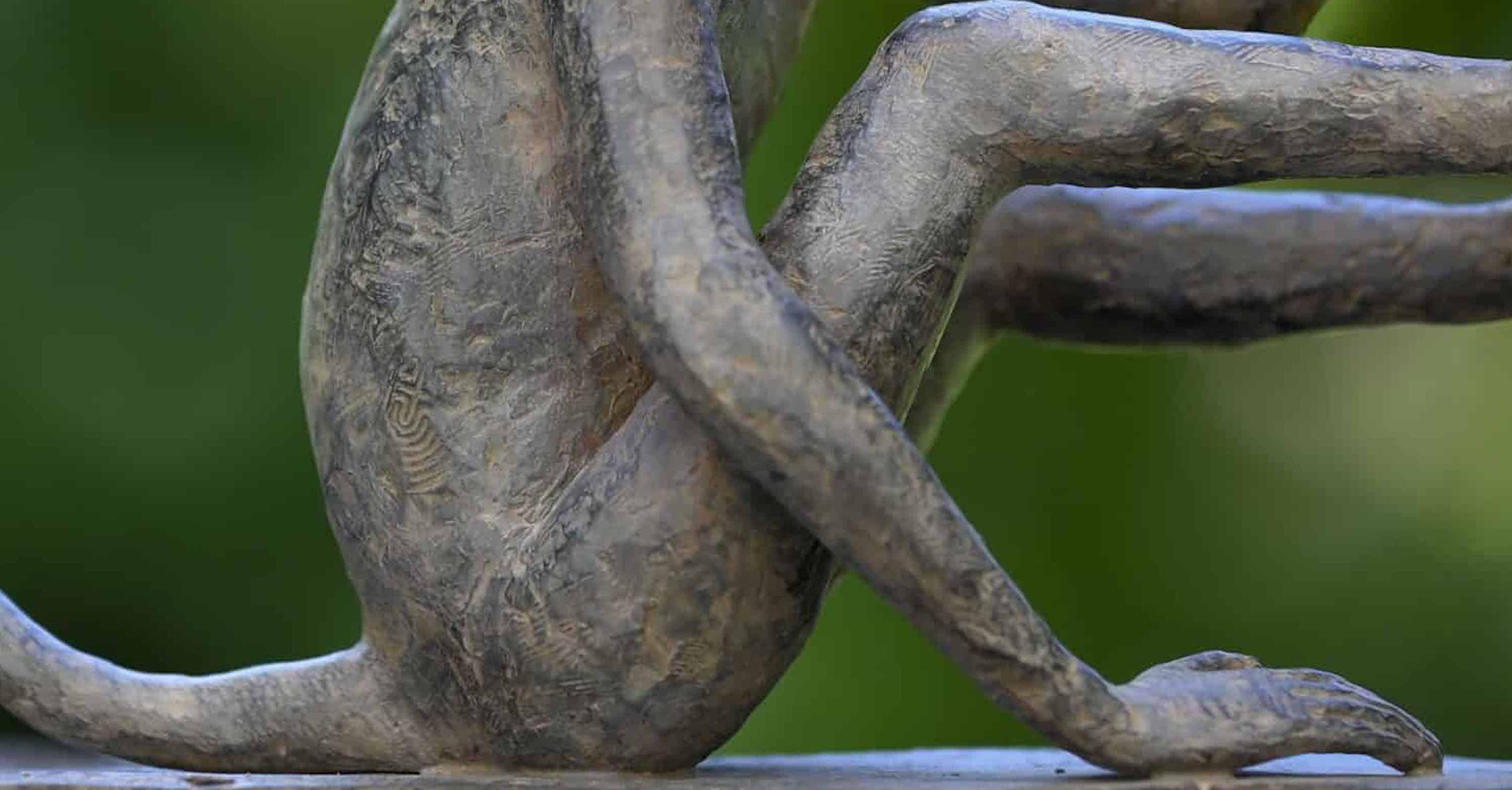 Baboune by Marine de Soos - Escultura animal de bronce, mono, figurativa, salvaje en venta 4