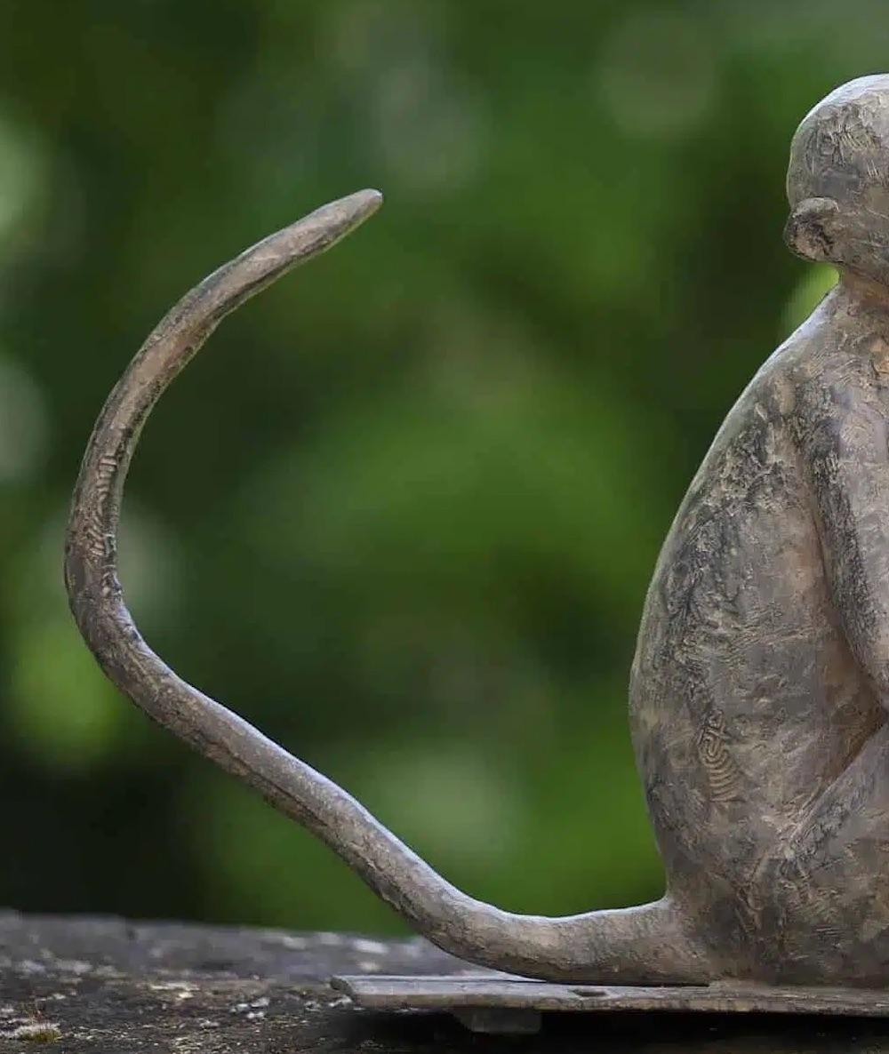 Baboune von Marine de Soos - Bronzeskulptur von Tieren, Affen, figurativ, wild im Angebot 5