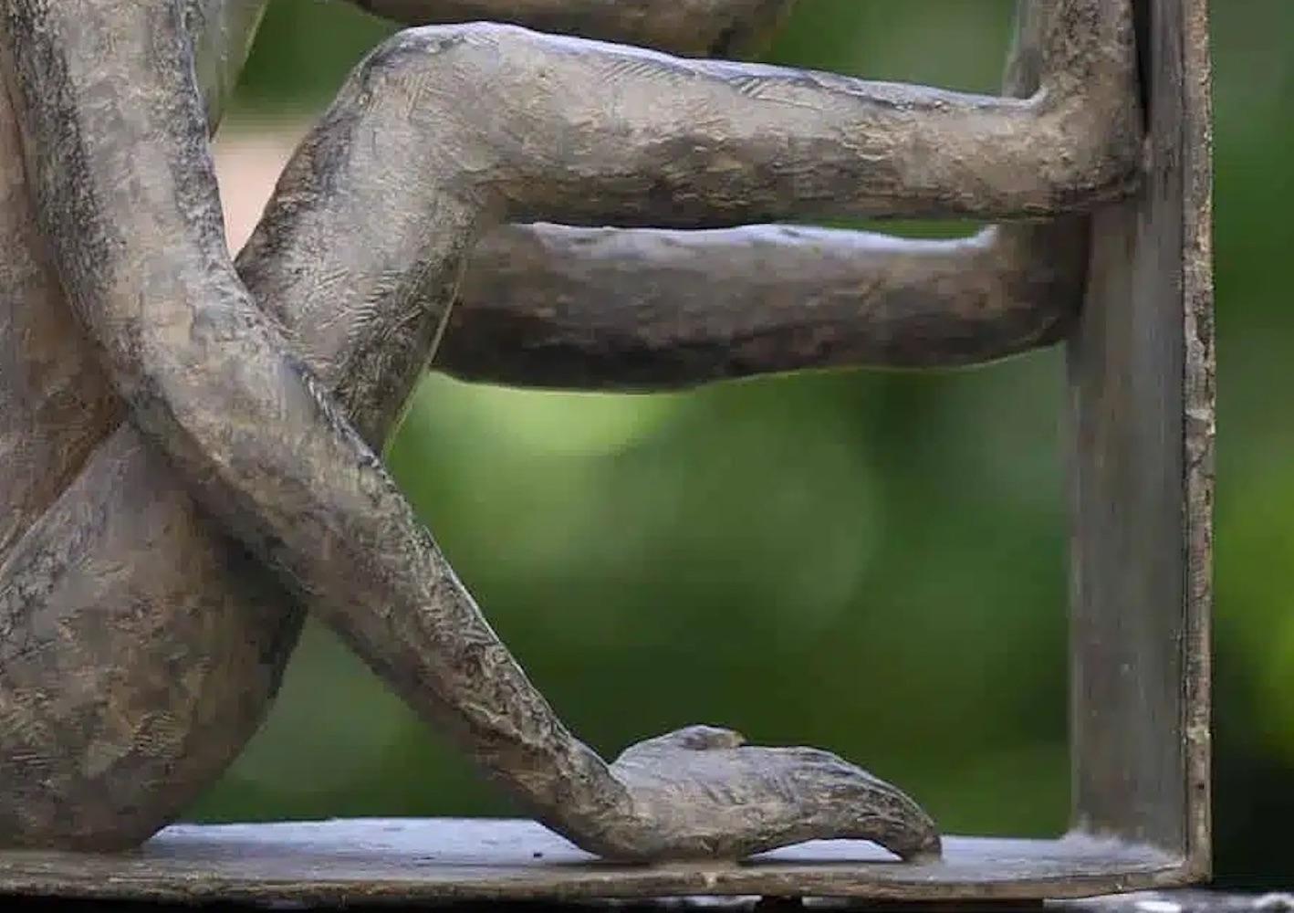 Baboune von Marine de Soos - Bronzeskulptur von Tieren, Affen, figurativ, wild im Angebot 6