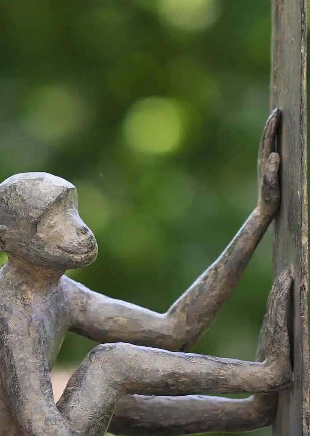 Baboune von Marine de Soos - Bronzeskulptur von Tieren, Affen, figurativ, wild im Angebot 7