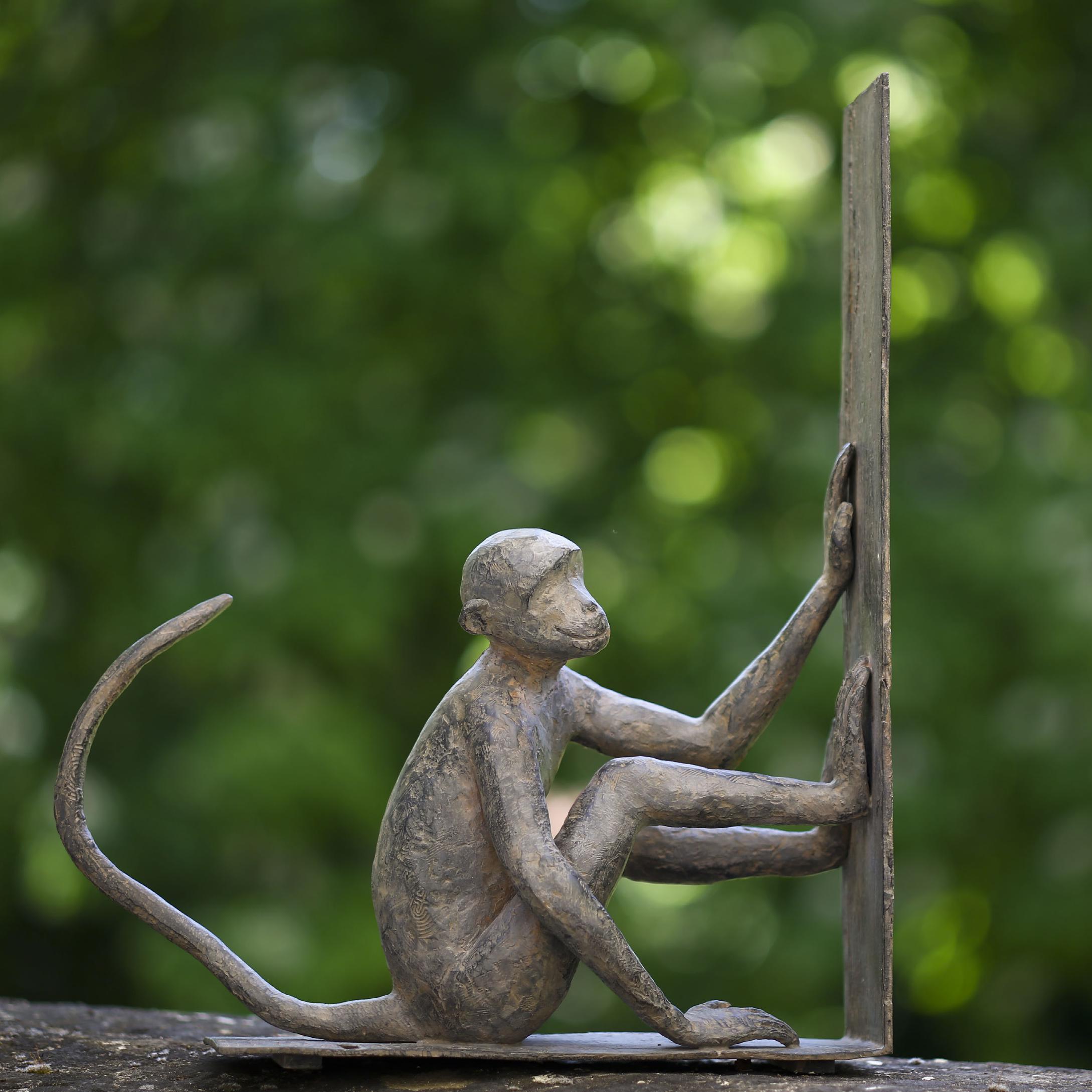 Baboune di Marine de Soos - Scultura animale in bronzo, scimmia, figurativa, selvaggia