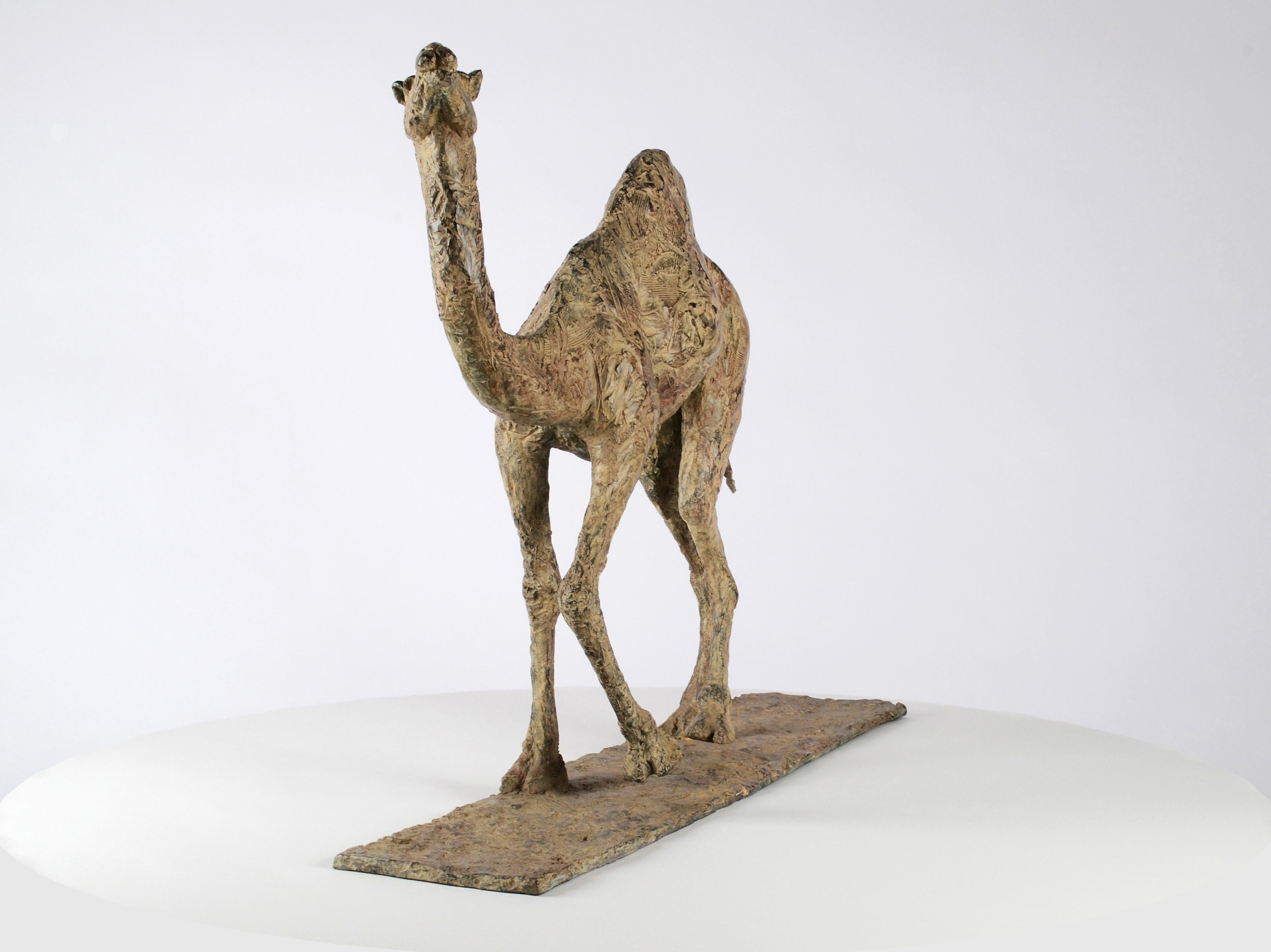 Kamel von Marine de Soos - Bronzeskulptur eines Tieres, zeitgenössisch, Souvenir, braun im Angebot 7