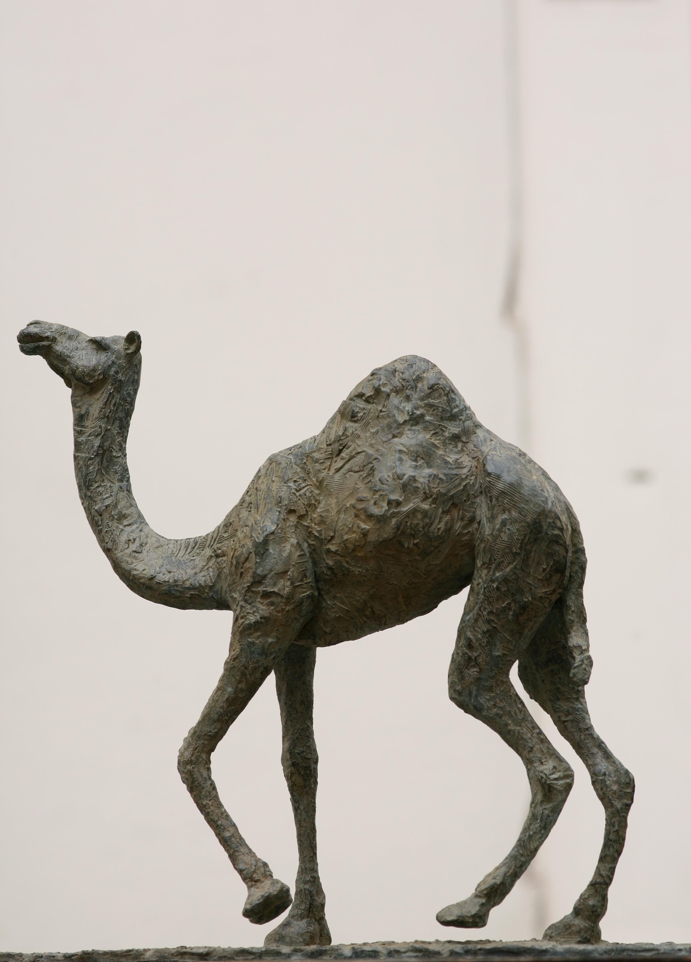 Camel is a bronze sculpture by French contemporary artist Marine de Soos, dimensions are 56 × 75 × 17 cm (22 × 29.5 × 6.7 in). 
The sculpture is signed and numbered, it is part of a limited edition of 8 editions + 4 artist’s proofs, and comes with a