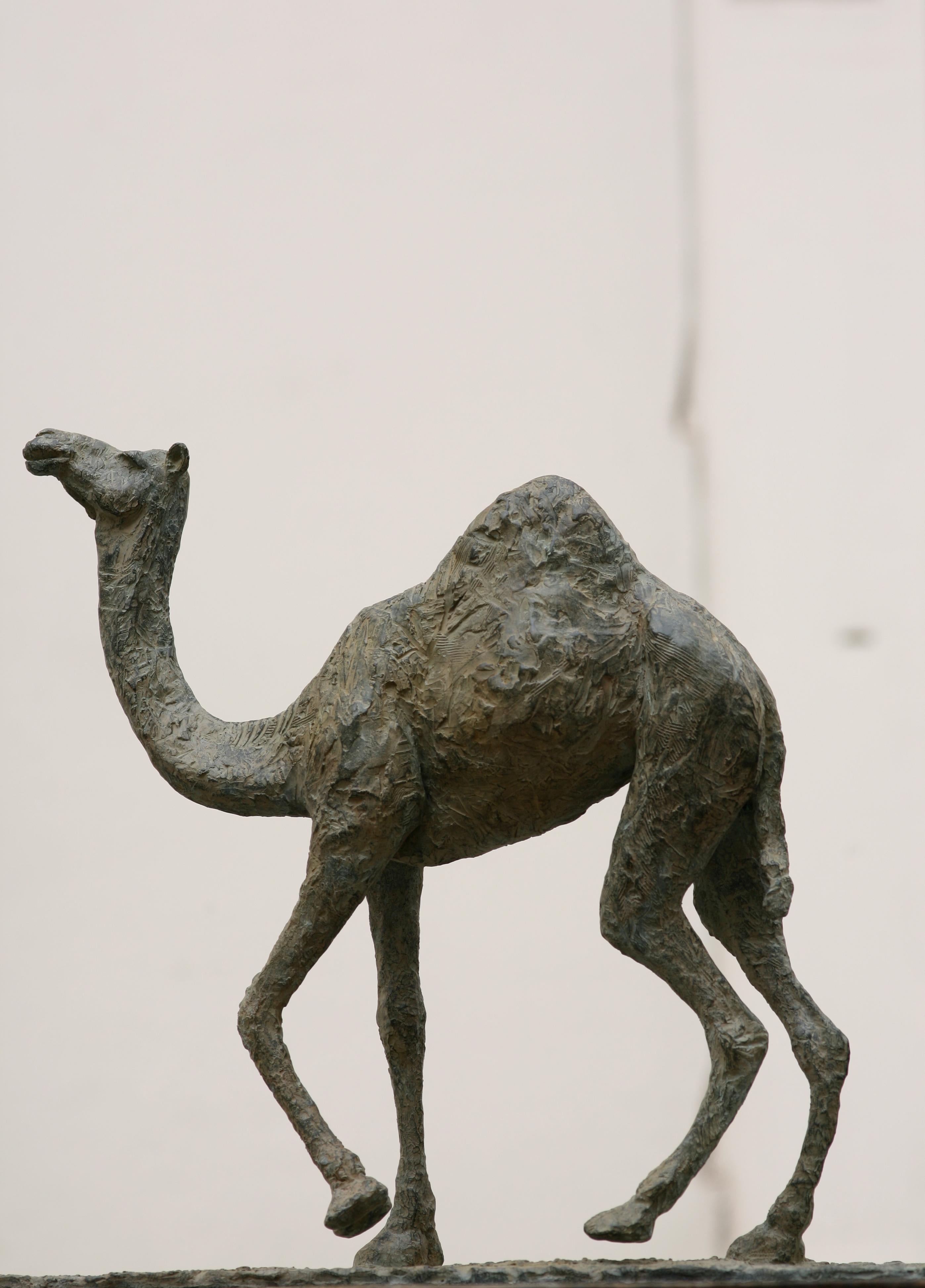 Camel by Marine de Soos - Animal bronze sculpture, contemporary, souvenir, brown