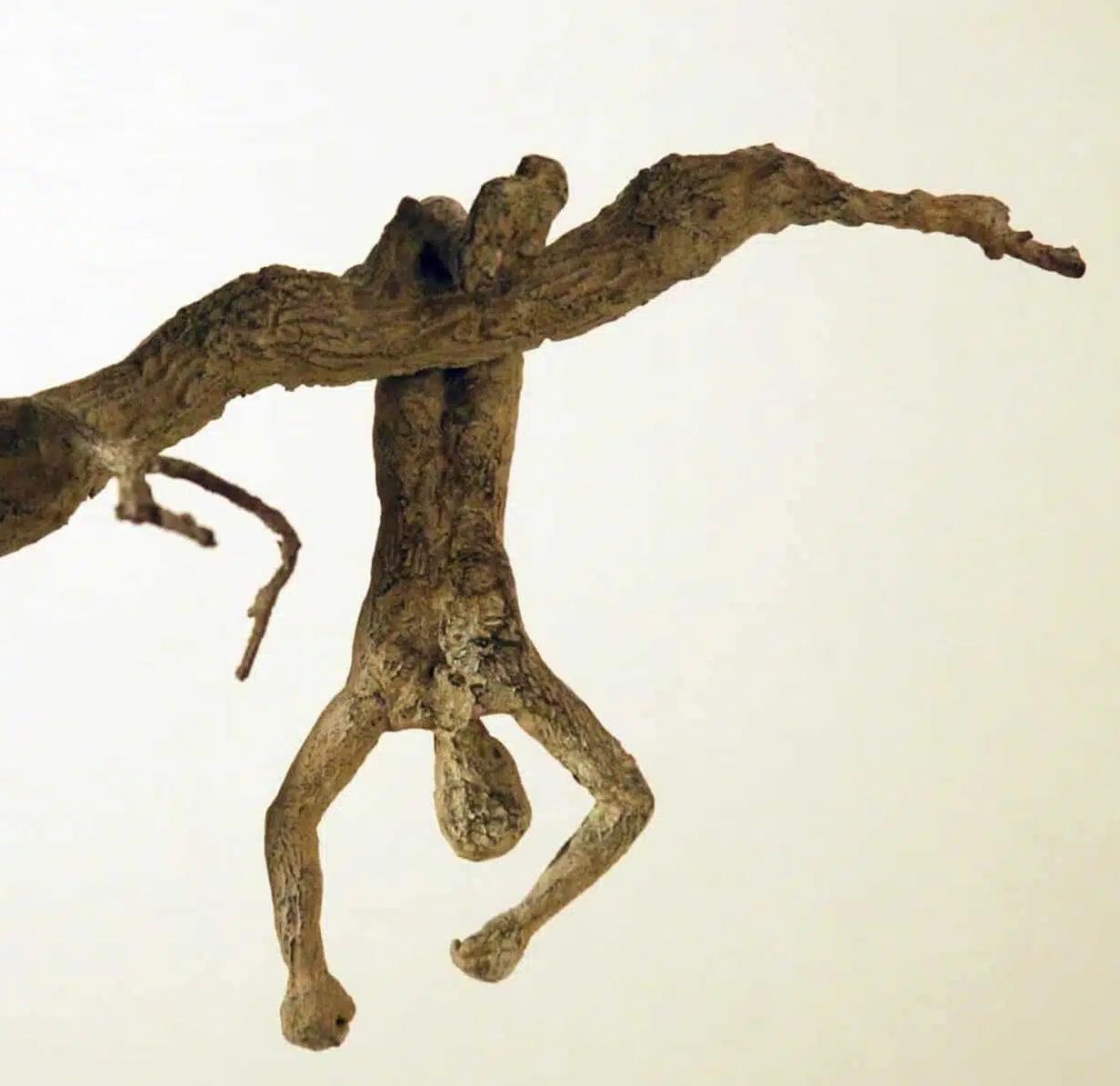 Chat perché von Marine de Soos - Zeitgenössische Bronzeskulptur, menschliche Figuren im Angebot 6