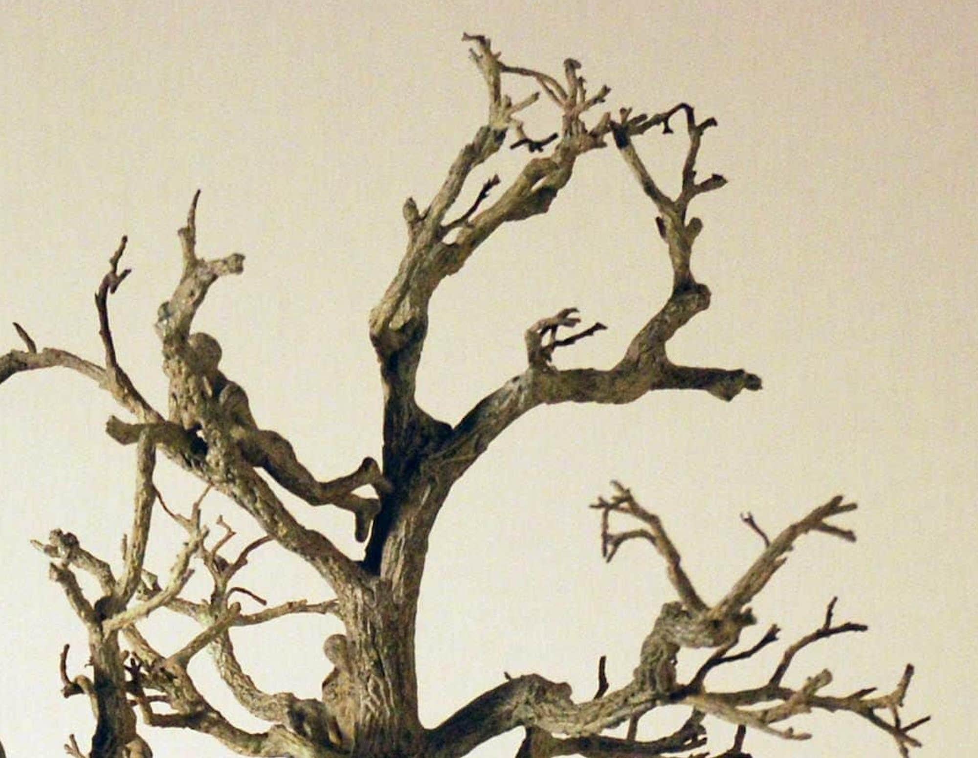 Chat perché von Marine de Soos - Zeitgenössische Bronzeskulptur, menschliche Figuren im Angebot 4