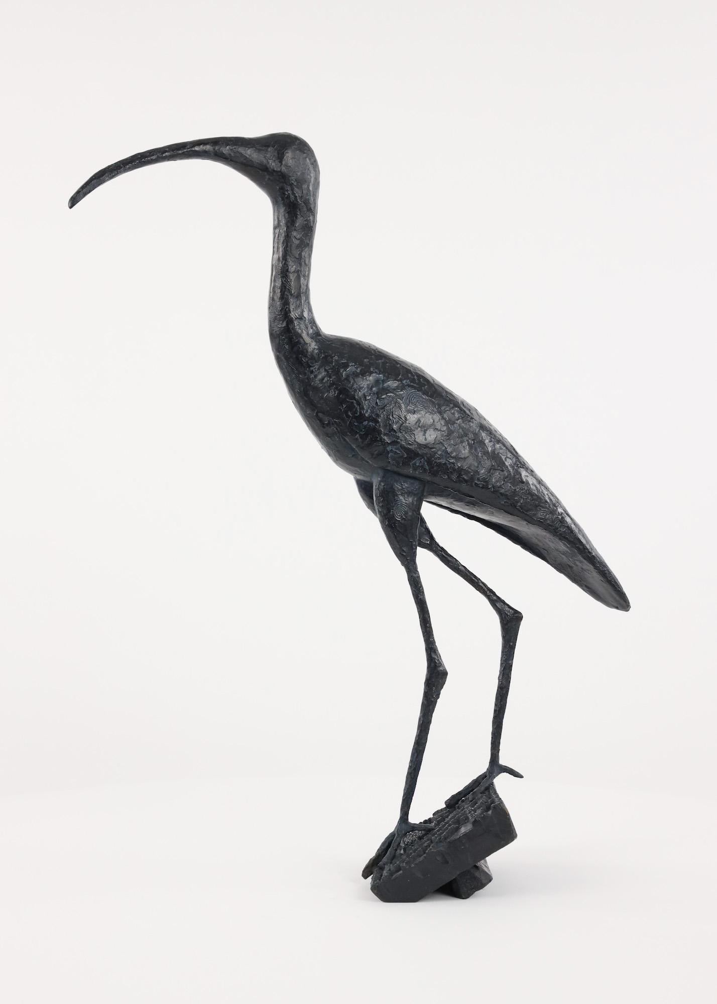 Sacred Ibis by Marine de Soos - Bronze animal sculpture of an bird, figurative  For Sale 3