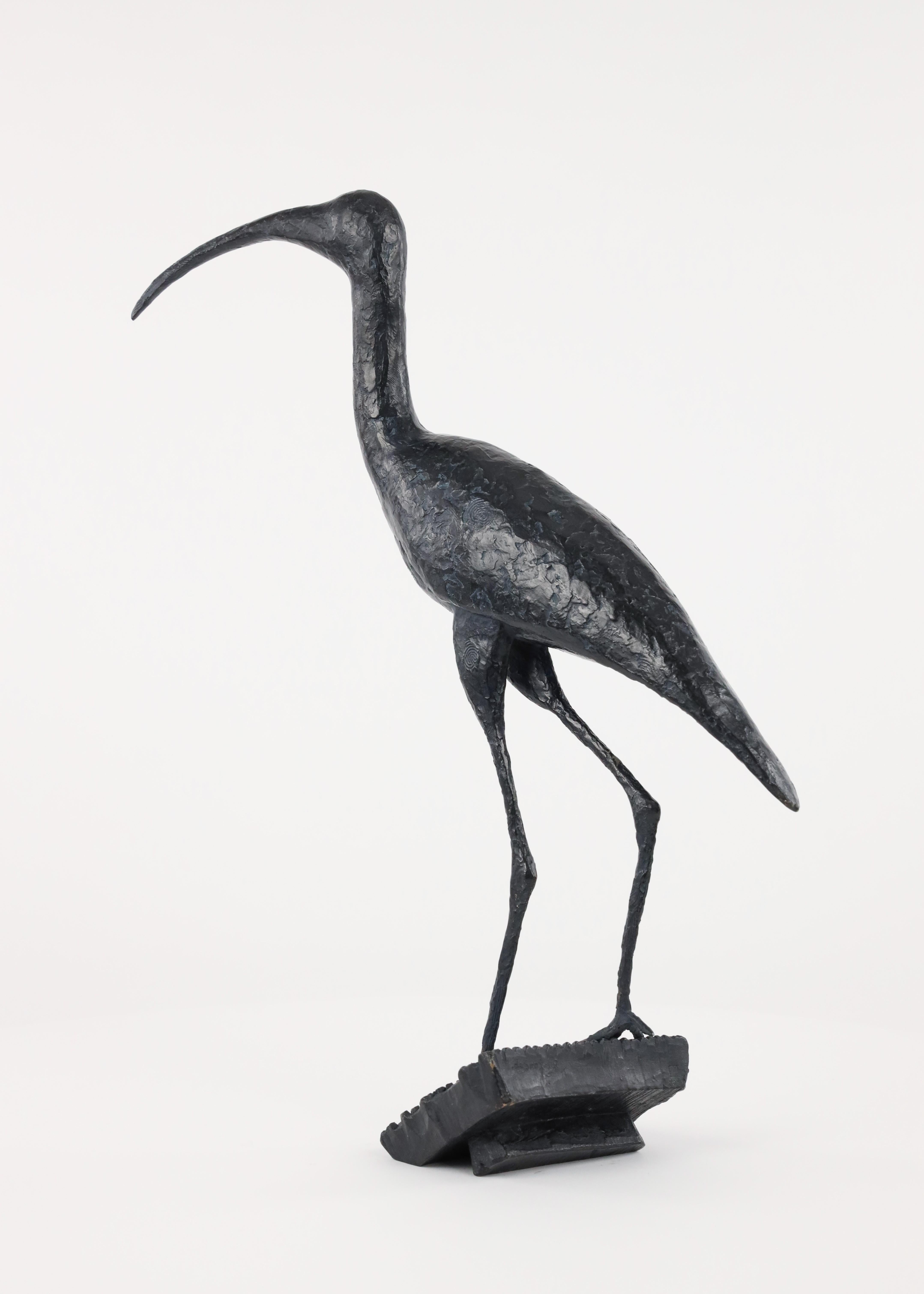 Sacred Ibis by Marine de Soos - Bronze sculpture of an bird, animal art For Sale 9
