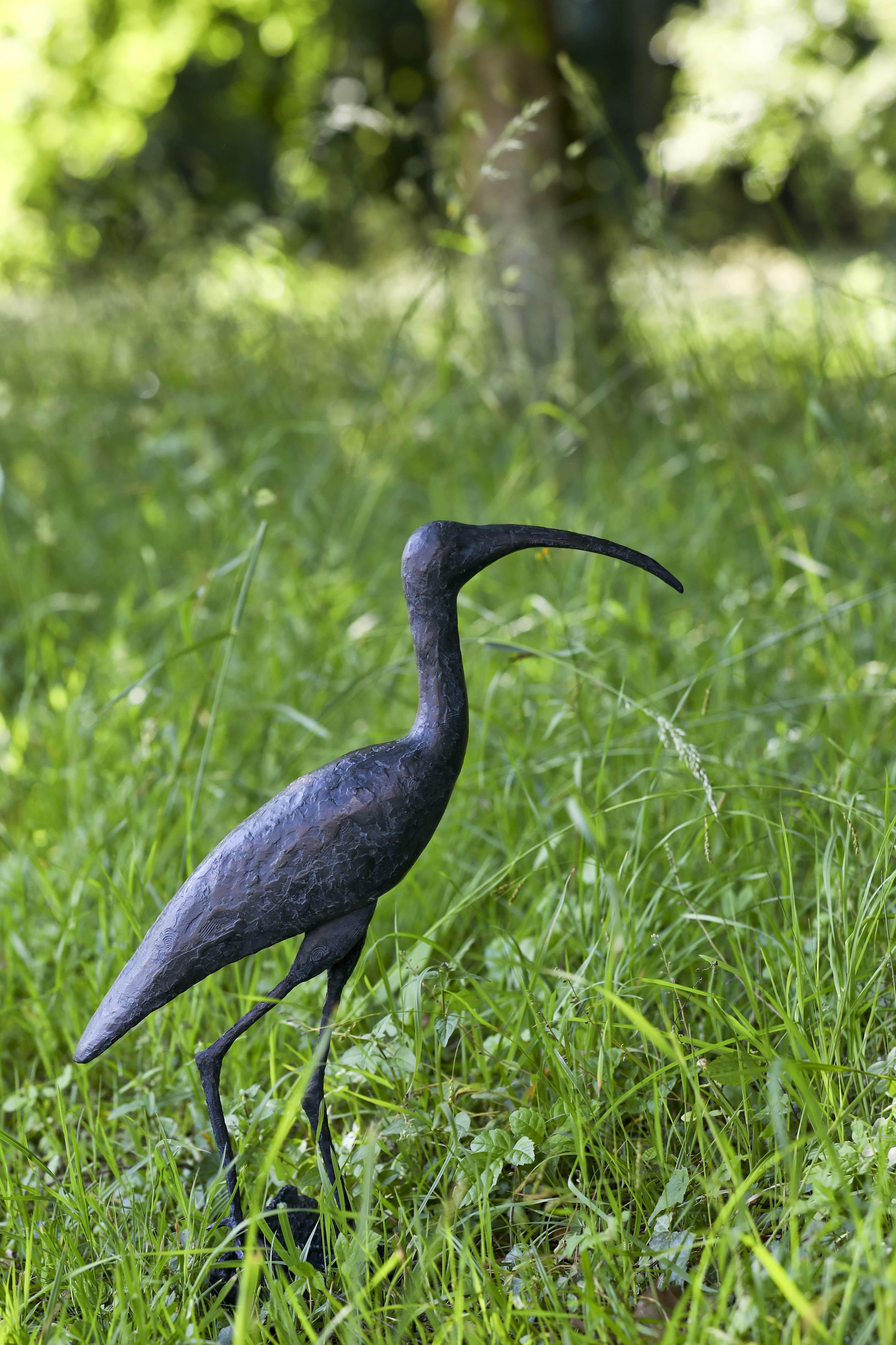 Sacred Ibis by Marine de Soos - Bronze sculpture of an bird, animal art For Sale 2