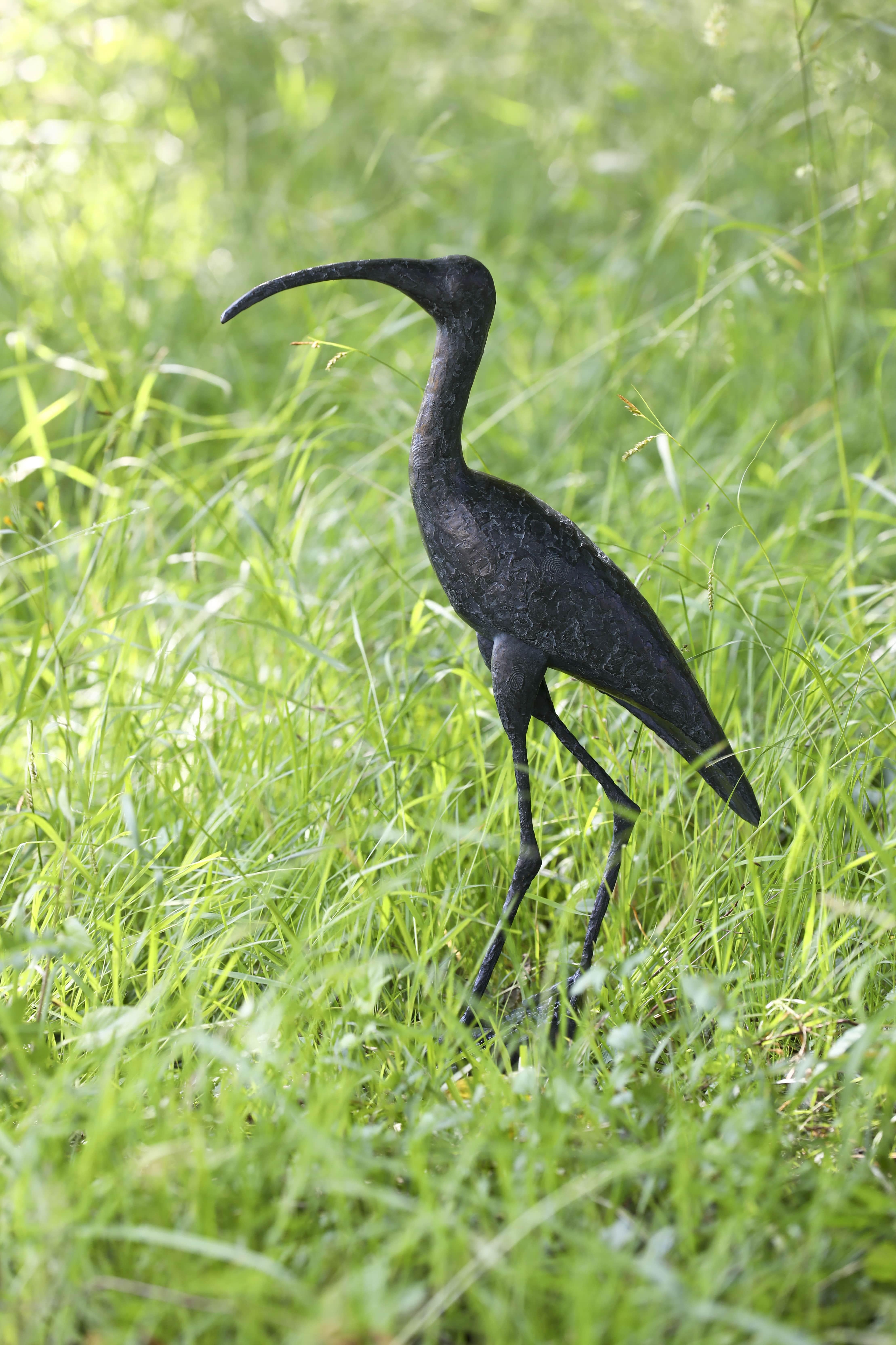 Sacred Ibis by Marine de Soos - Bronze sculpture of an bird, animal art For Sale 3