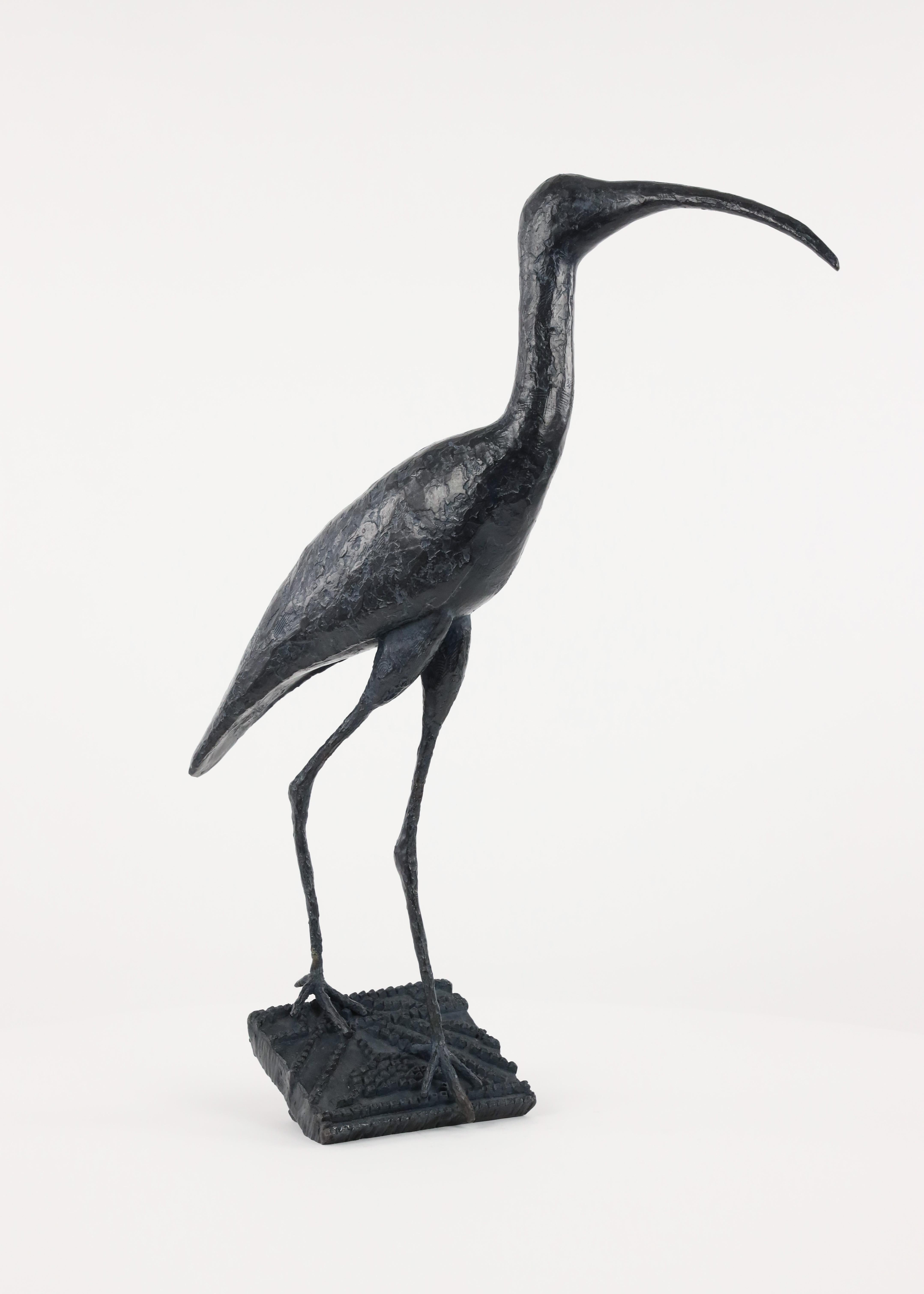 Sacred Ibis is a bronze sculpture by French contemporary artist Marine de Soos, dimensions are 56 × 44 × 20 cm (22 × 17.3 × 7.9 in). 
The sculpture is signed and numbered, it is part of a limited edition of 8 editions + 4 artist’s proofs, and comes