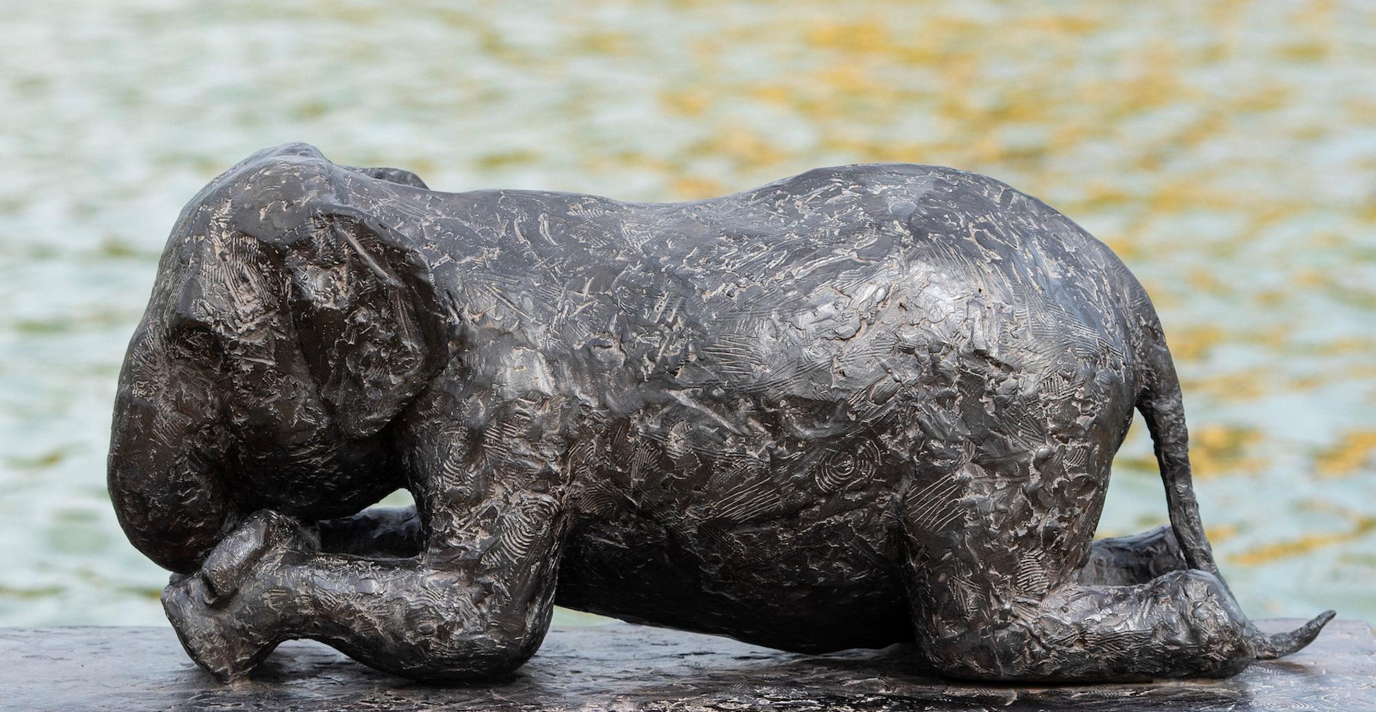 The Book of Ganesh II, Tribute to Gregory Colbert by Marine de Soos - Sculpture For Sale 4