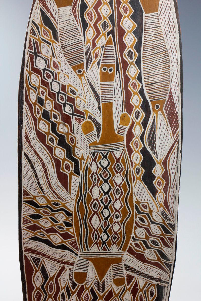 Tribal 'Marine Life with River Tortoise'. Unknown Aboriginal Artist, Australia  For Sale