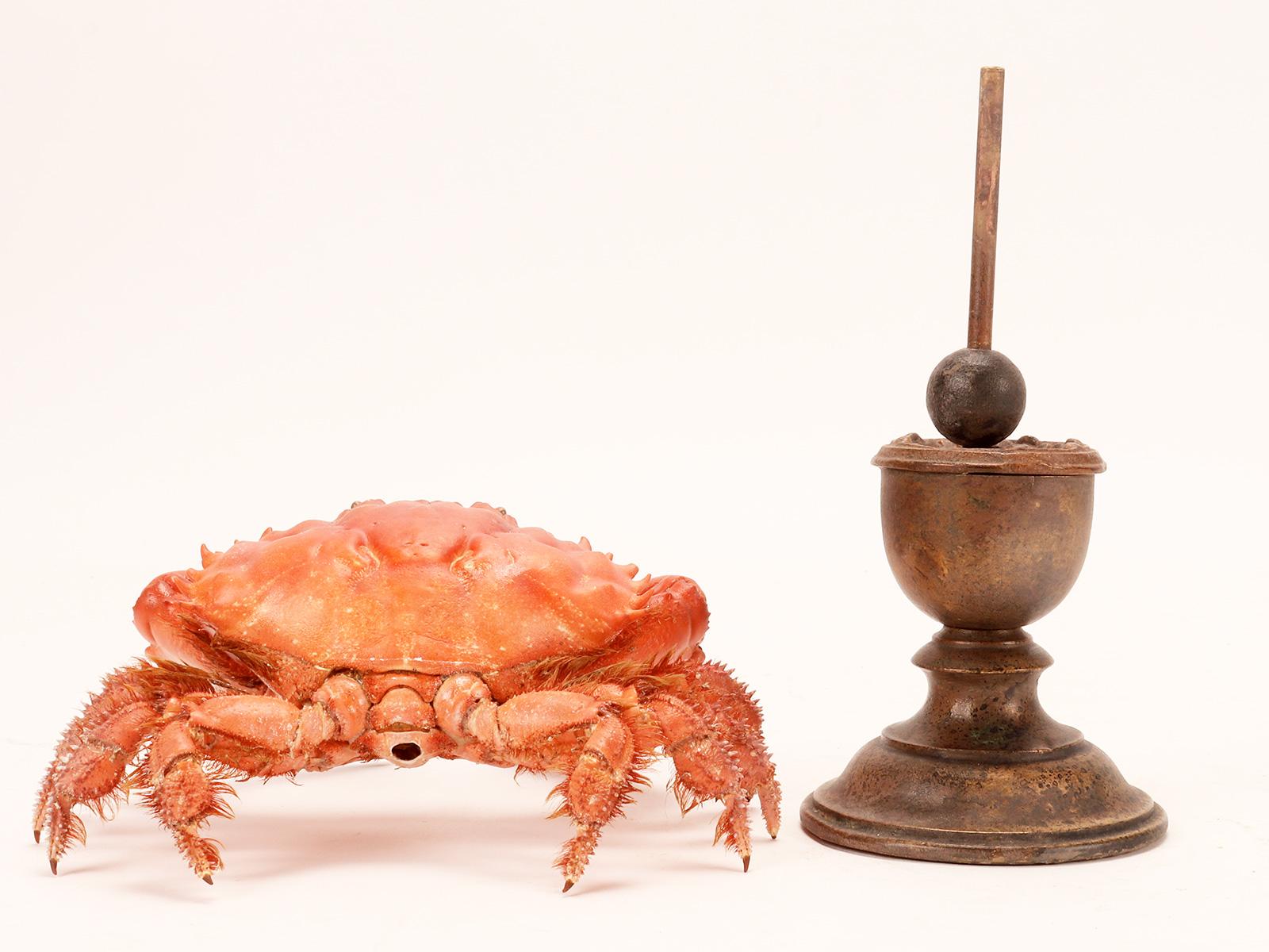 Wood Marine specimen: a pair of crabs, Italy 1870.  For Sale