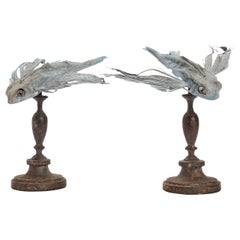 Marine Specimen a Taxidermy Flying Fishes, Italy, 1880