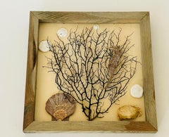Marine Taxidermy Assemblage with Sea horse