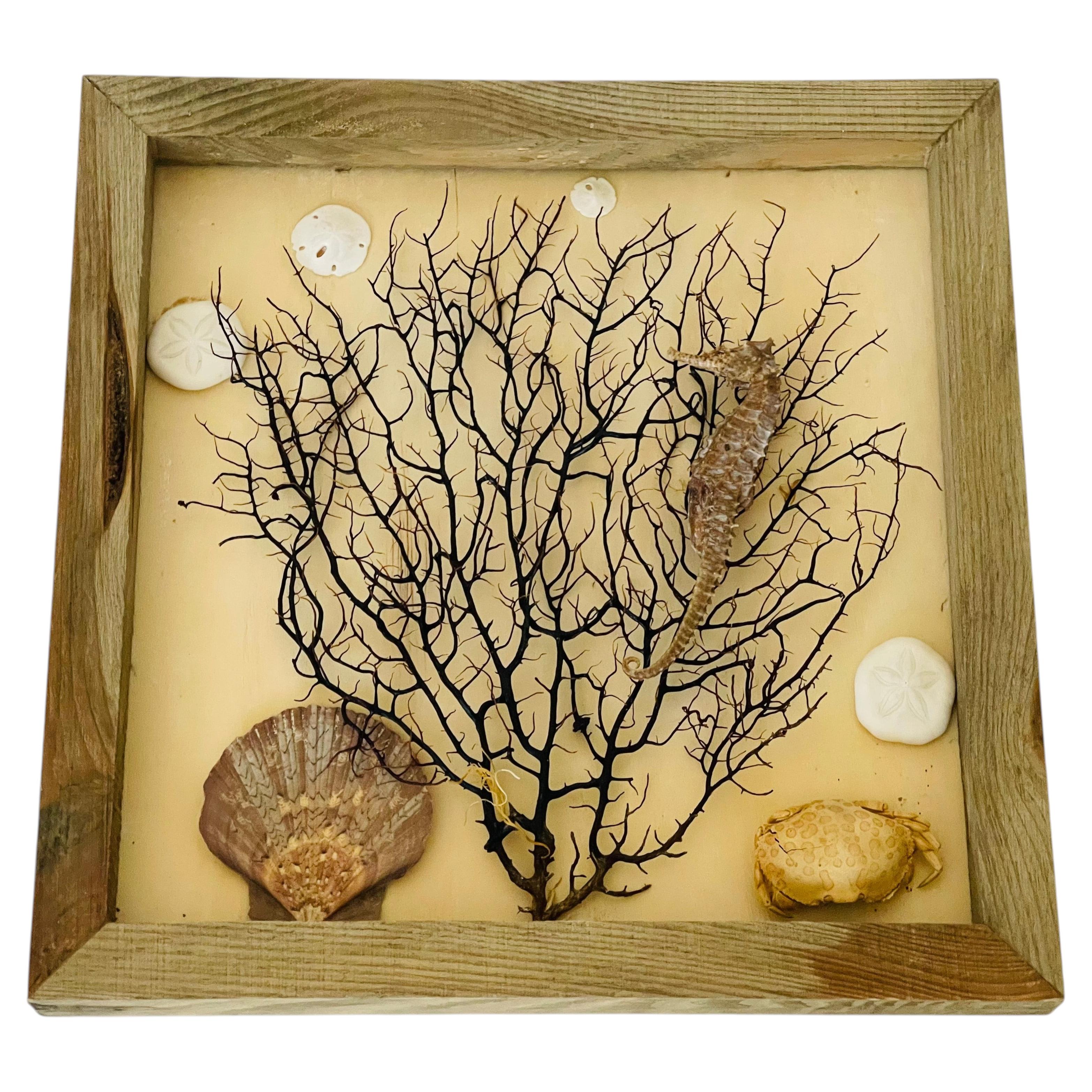 Marine Taxidermy Assemblage with Sea Horse and Crab