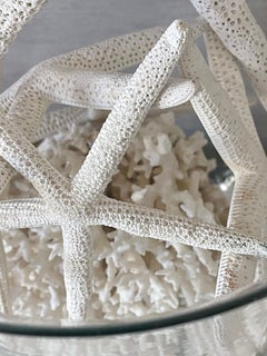 Natures Beauty-Marine Taxidermy Coral sea Shell Stars in Blown Glass Bowl
