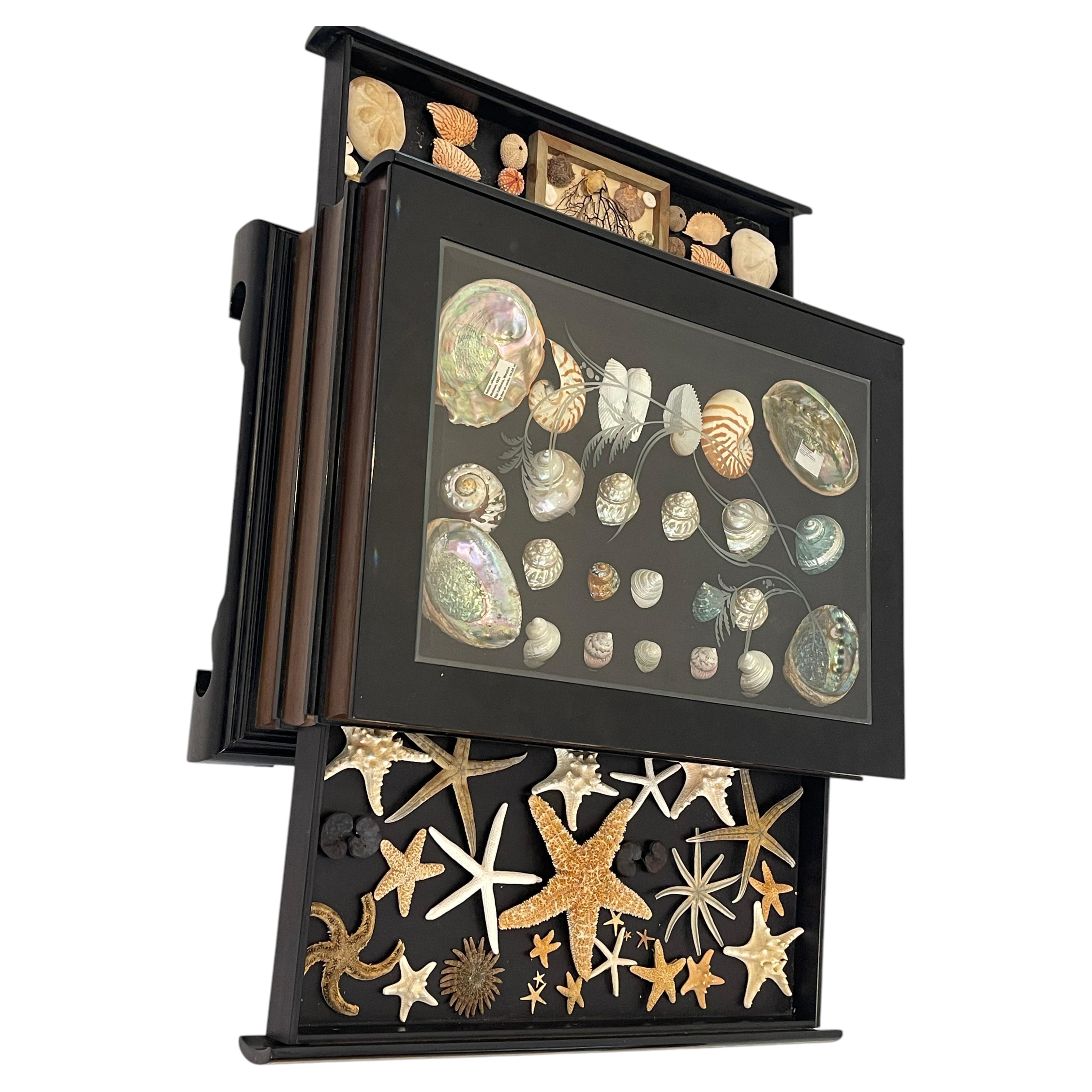 Marine World Sea Shells Collection