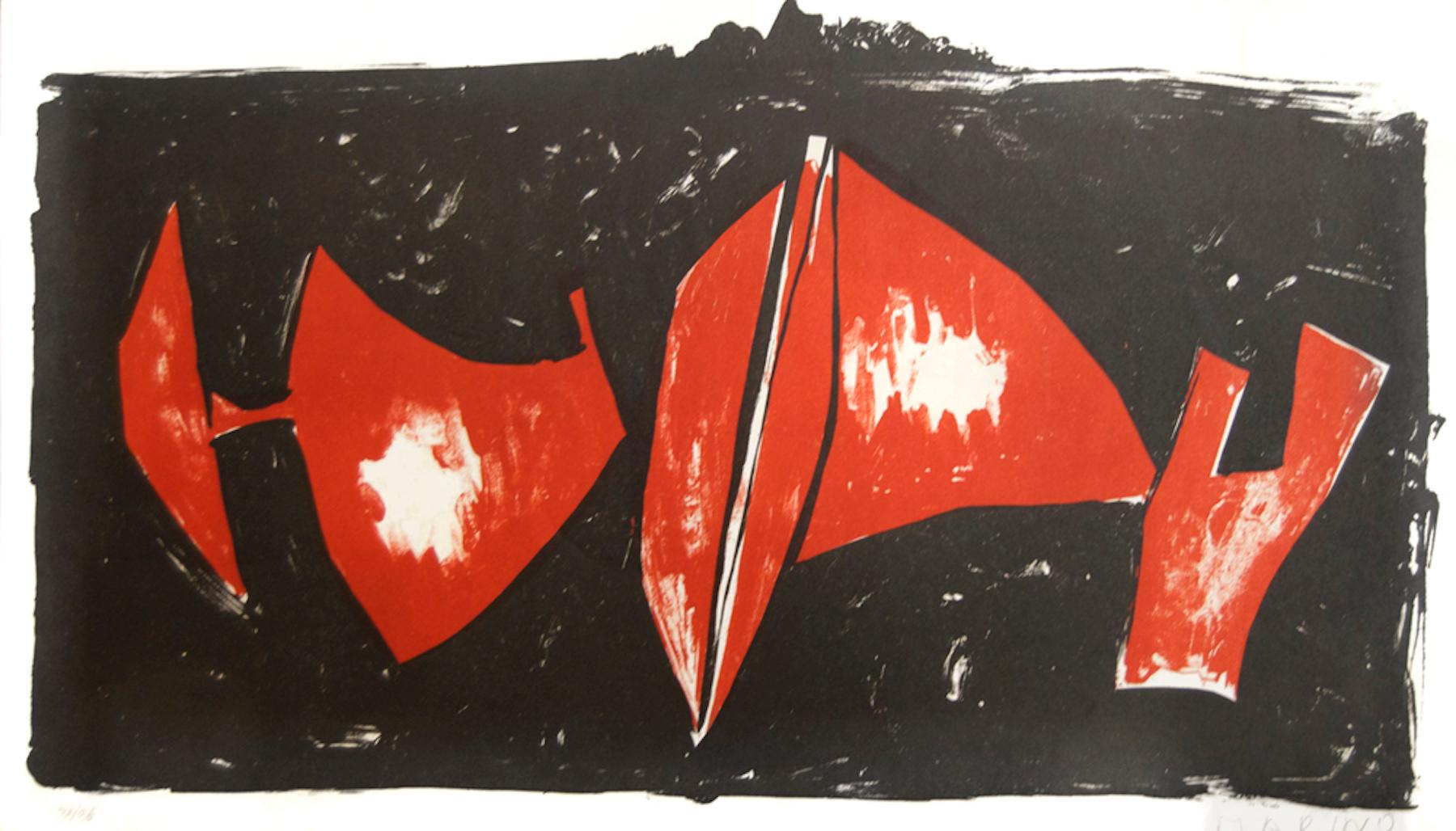 Dimensioni dell'immagine: 23x41 cm.
Edizione di 96 pezzi numerati e firmati dall'artista.
Condizioni molto buone.