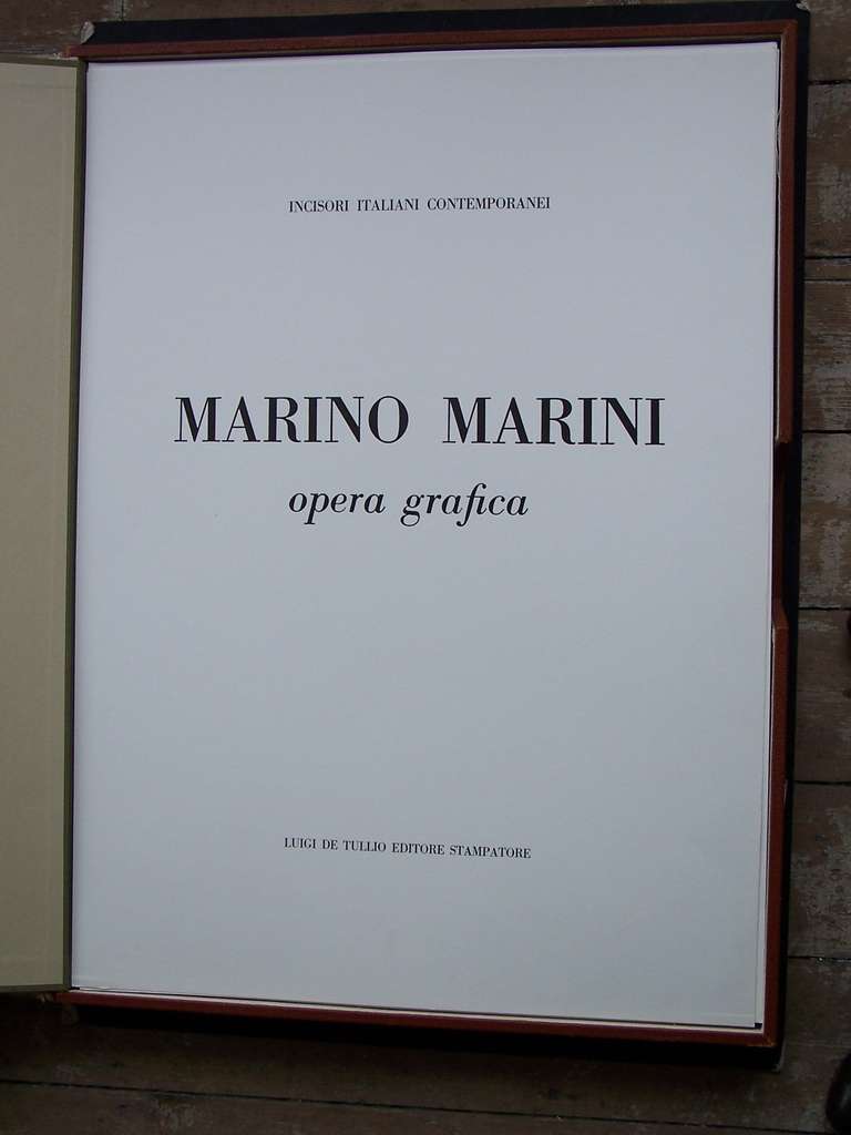 grafica marino