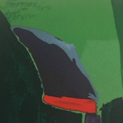 L'immaginazione - Lithograph by Marino Marini - 1966