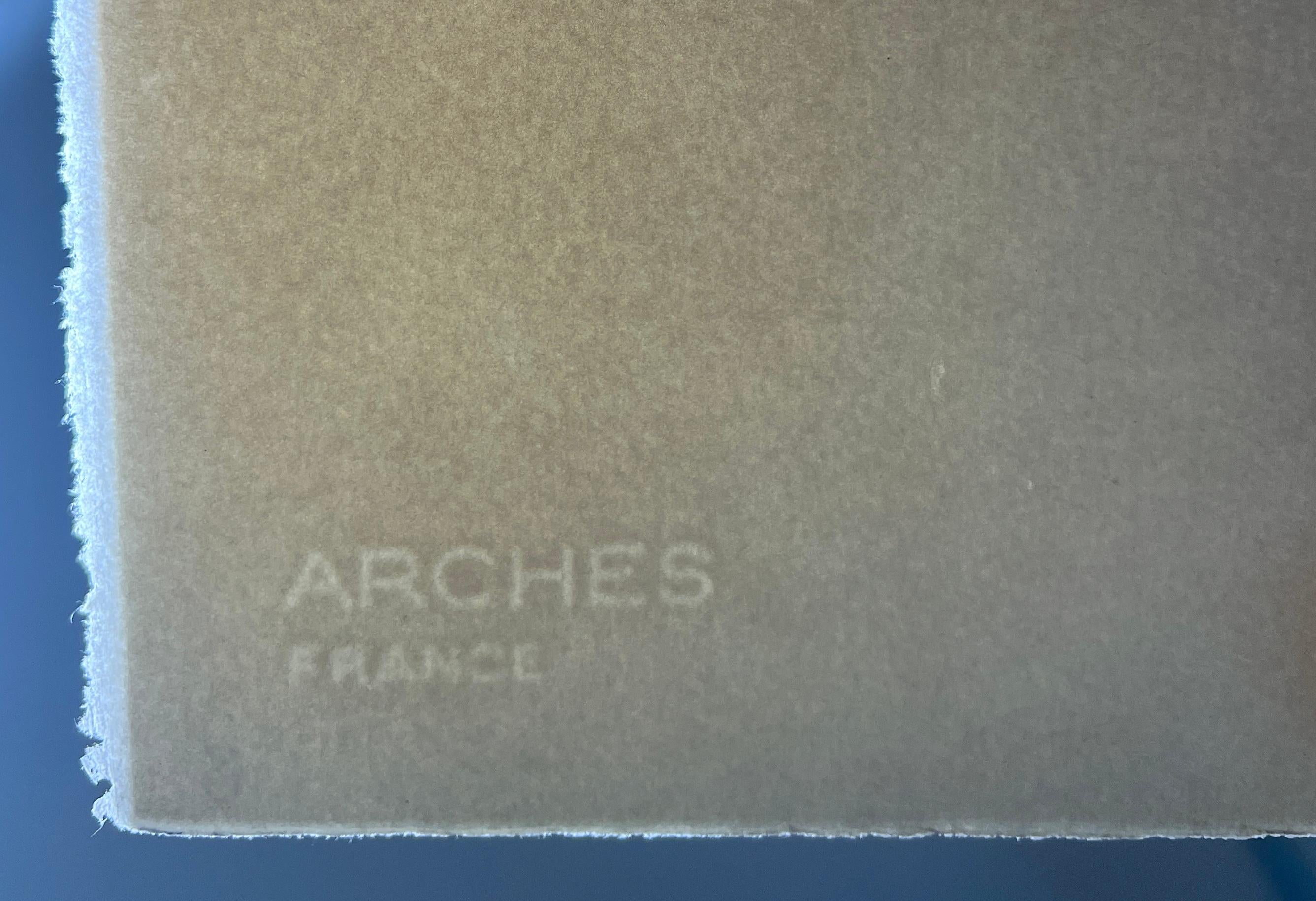 Marino Marini (1901-1980) - Litografía coloreada sobre papel Arches - 1976 en venta 5