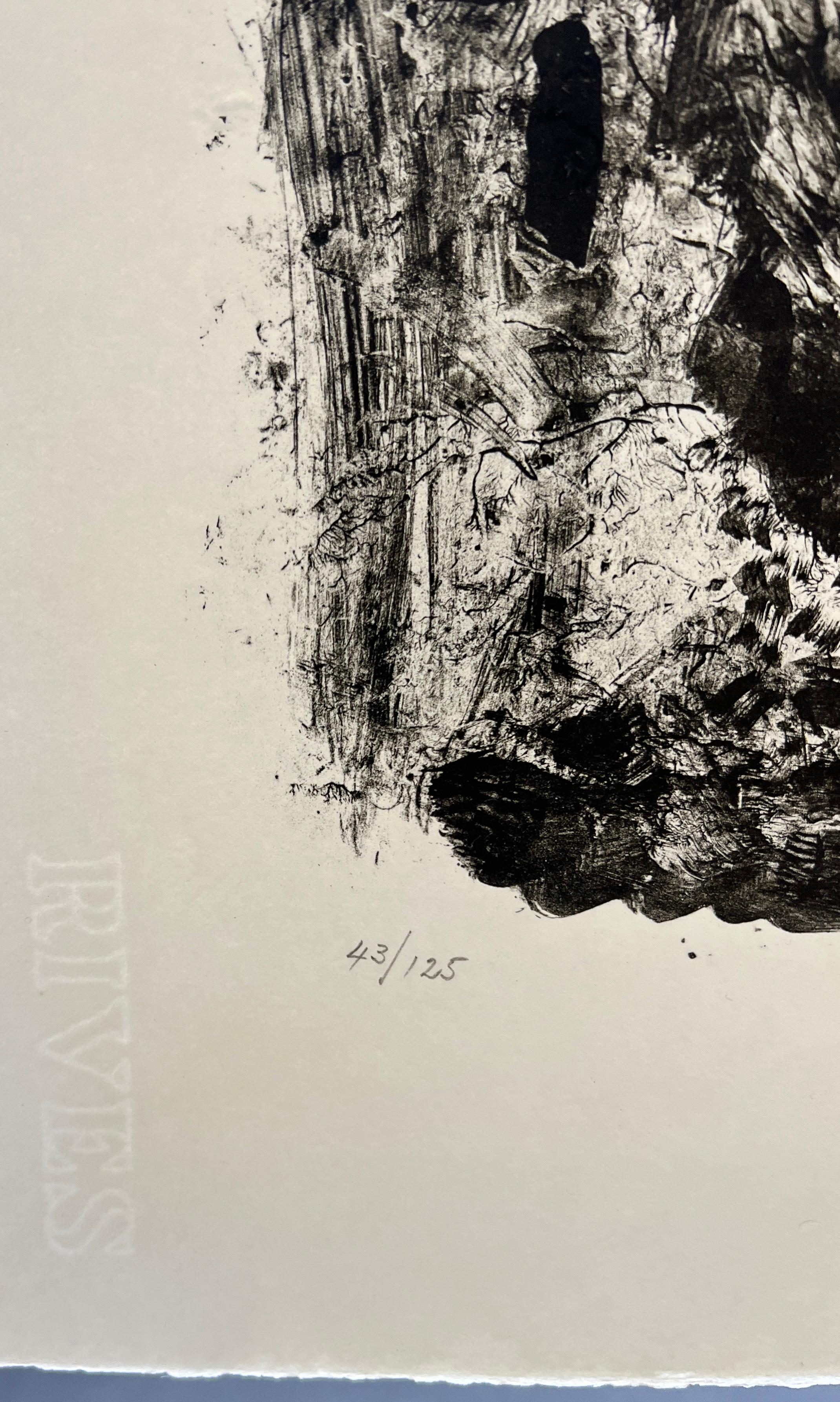 Marino Marini (1901-1980) - Miracolo - Litografia su carta BFK Rives in vendita 5