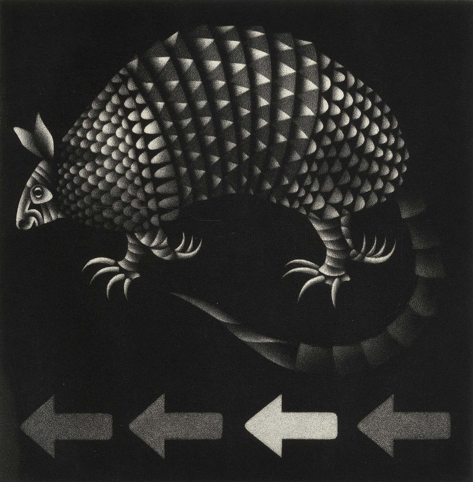 Mario Avati Animal Print - Armadillo (the "little armored one" of the highway - only living shelled mammal)