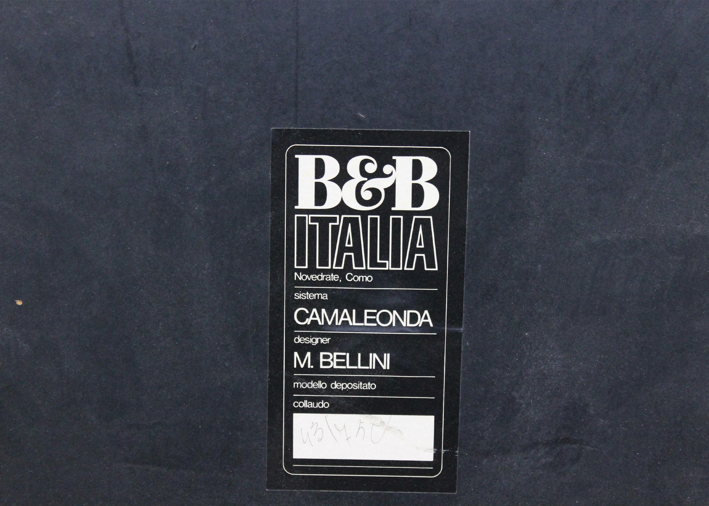 Mario Bellini Camaleonda Modular Sofa in Brown Velvet by B&B Italy 1970s For Sale 6