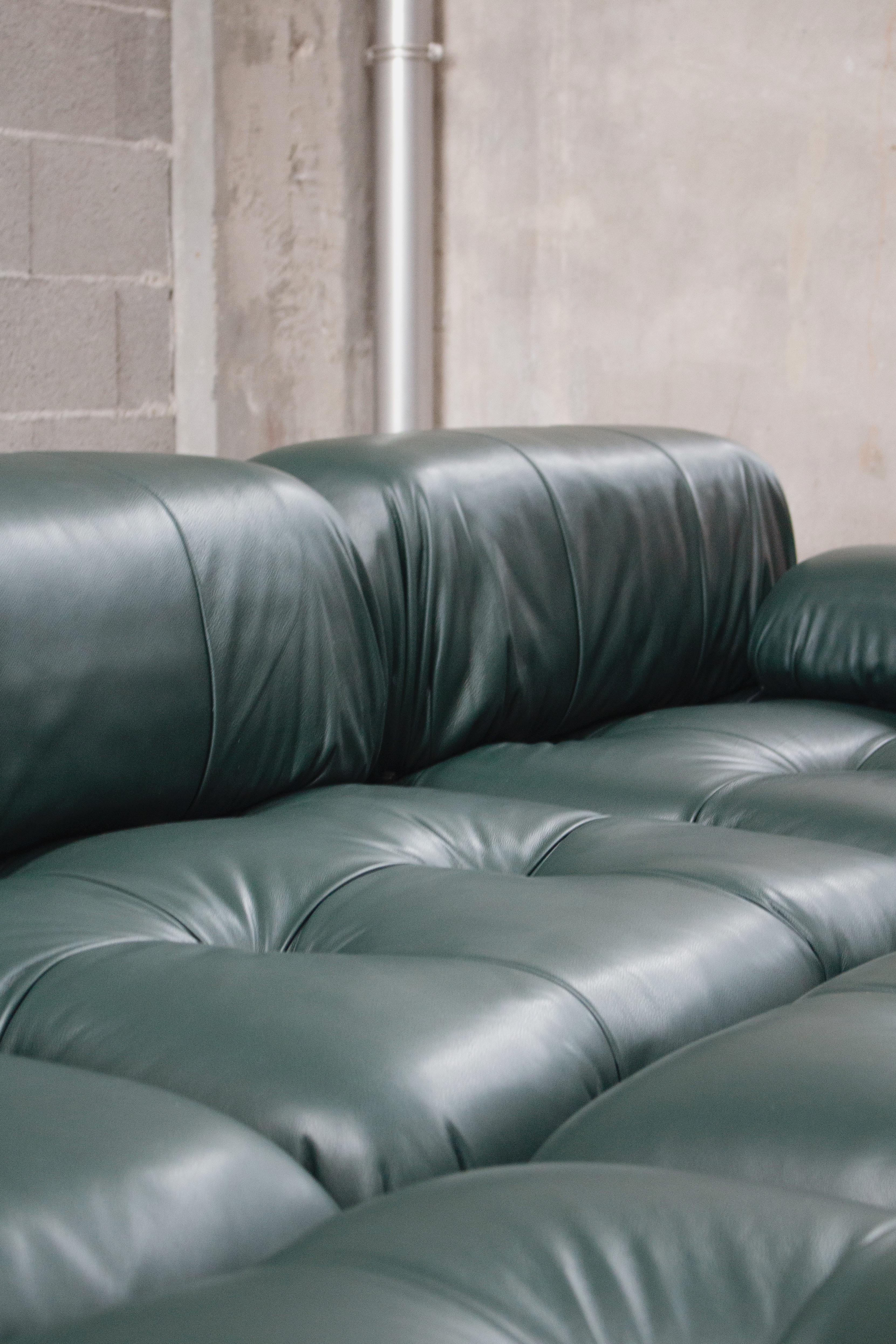 camaleonda sofa leather