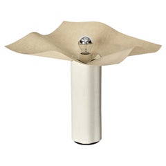 Plus de Luminaires