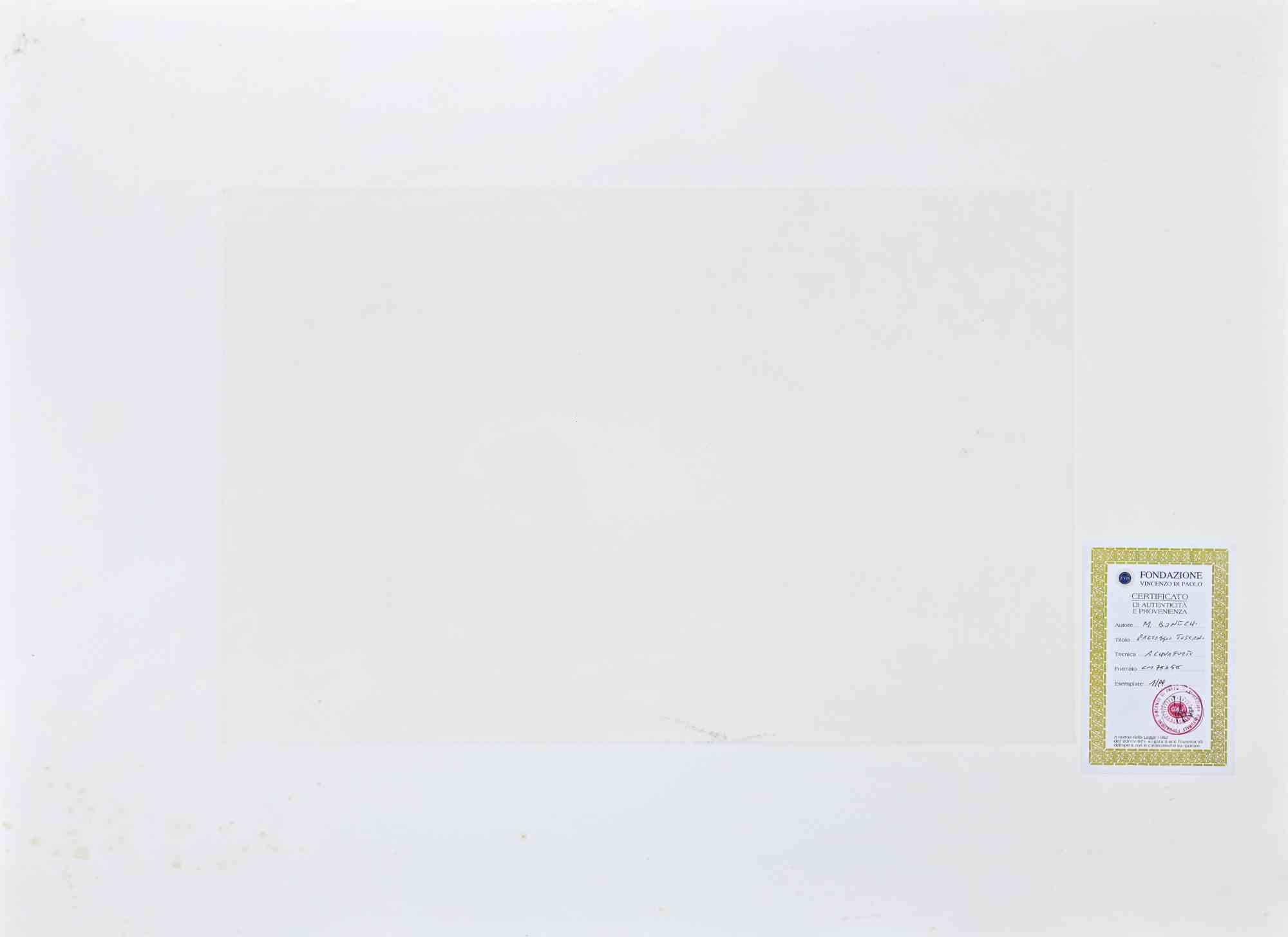 Paysage - Eau-forte  par Marco Bonechi - Fin du XXe siècle - Print de Mario Bonechi