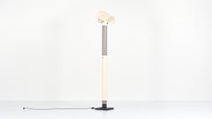 Mario Botta, Shogun Terra Floor Lamp for Artemide