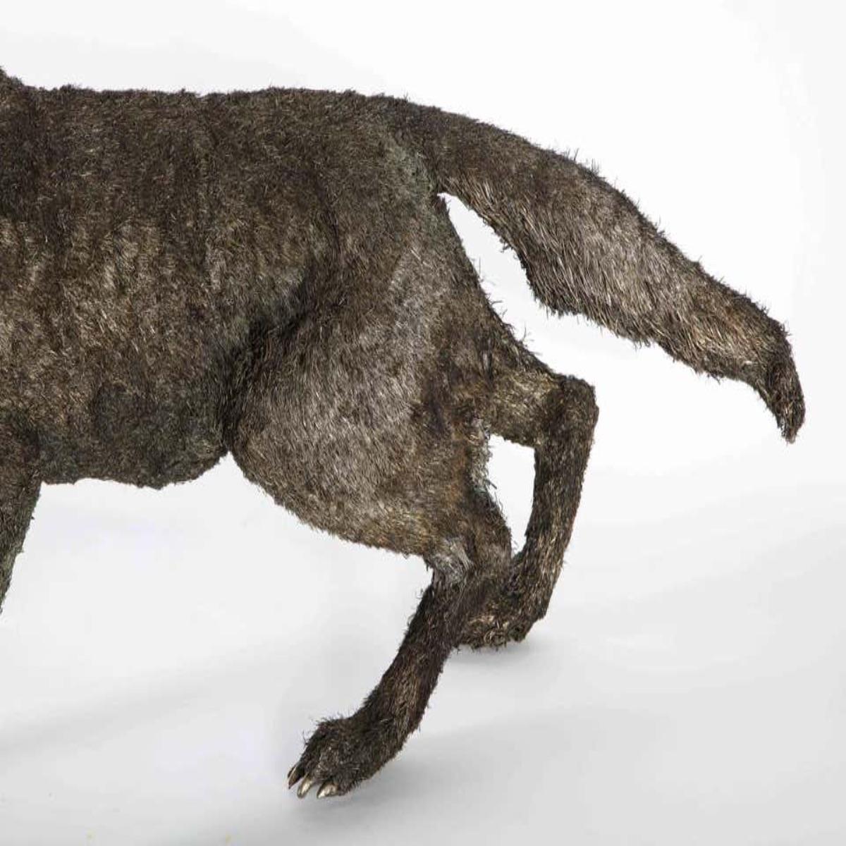 Women's or Men's Mario Buccellati a Rare and Exceptional Nearly Life-Size Silver Wolf, circa 1970