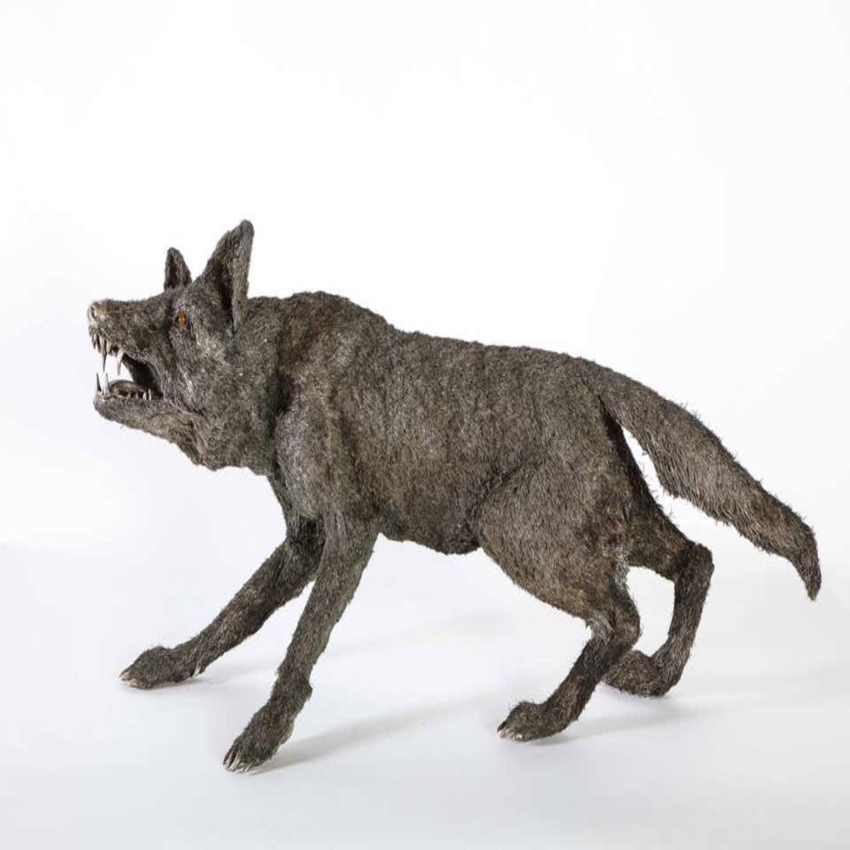 Mario Buccellati a Rare and Exceptional Nearly Life-Size Silver Wolf, circa 1970 2