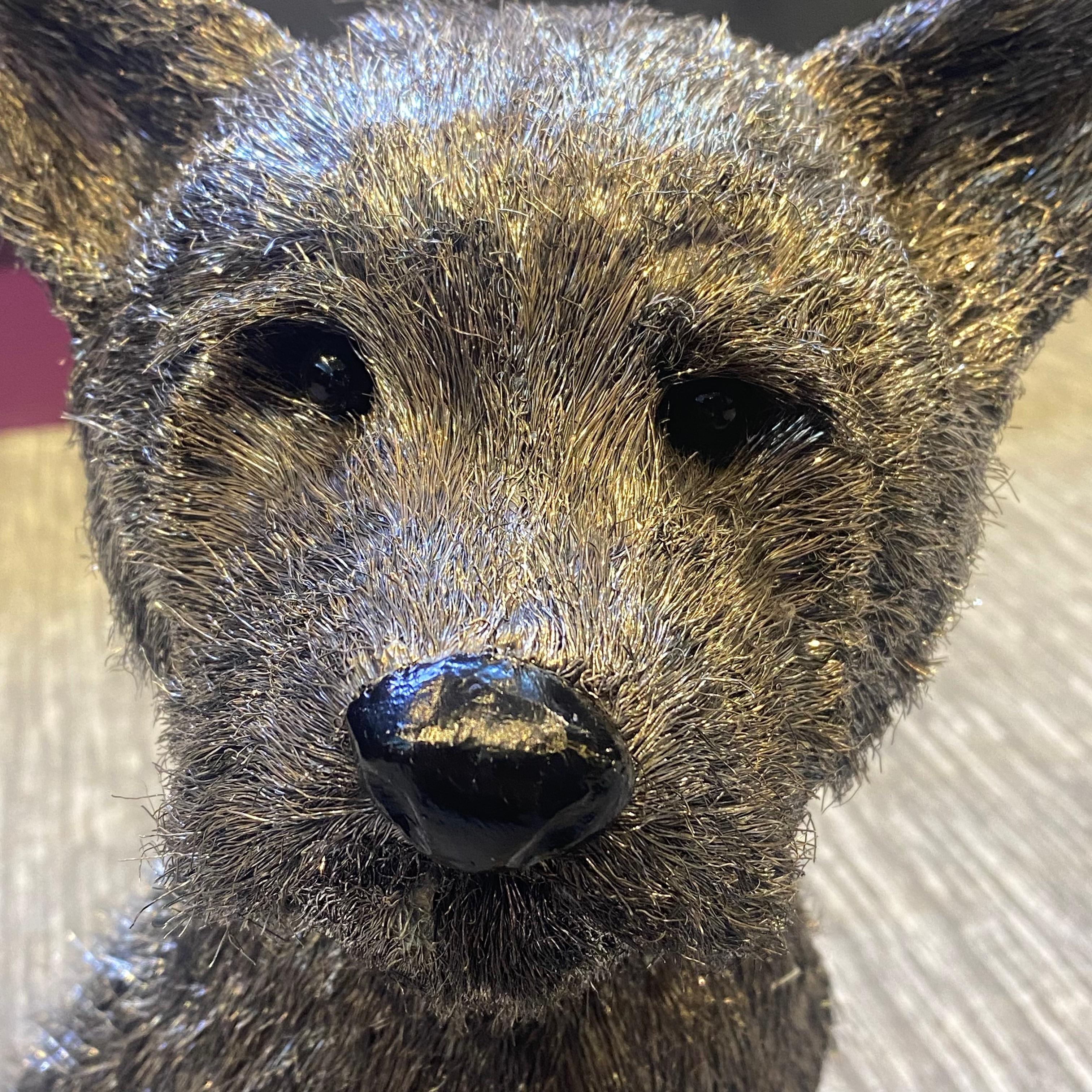 Mario Buccellati Chien Yorkshirre Terrier en argent grandeur nature en vente 13