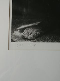 Mario Cravo Neto, "Voodoo Figure" Photography Signed, Dated