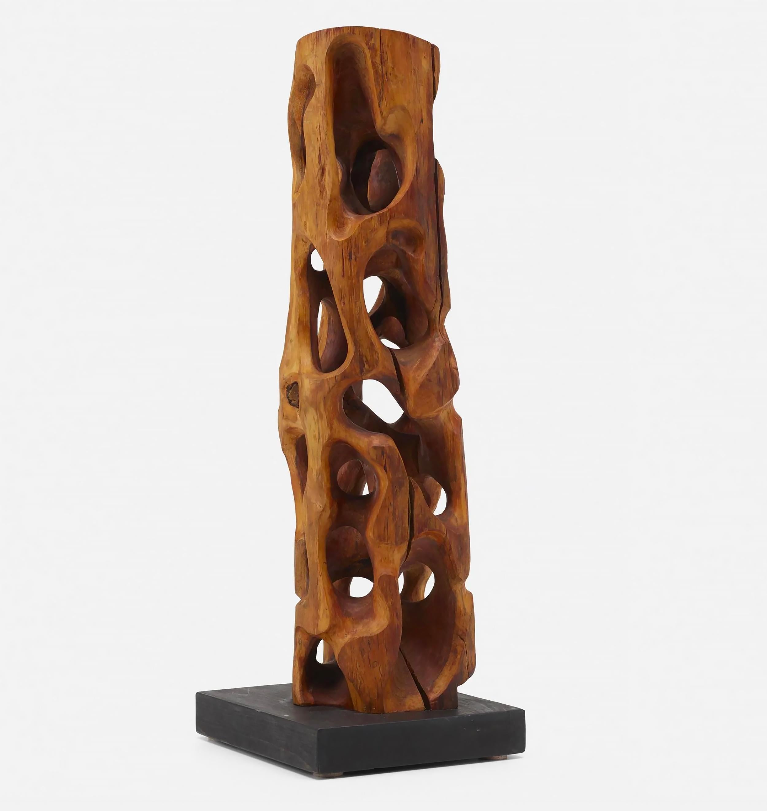 Unbenannte geschnitzte Wood Wood Skulptur - Treibholz – Sculpture von Mario Dal Fabbro
