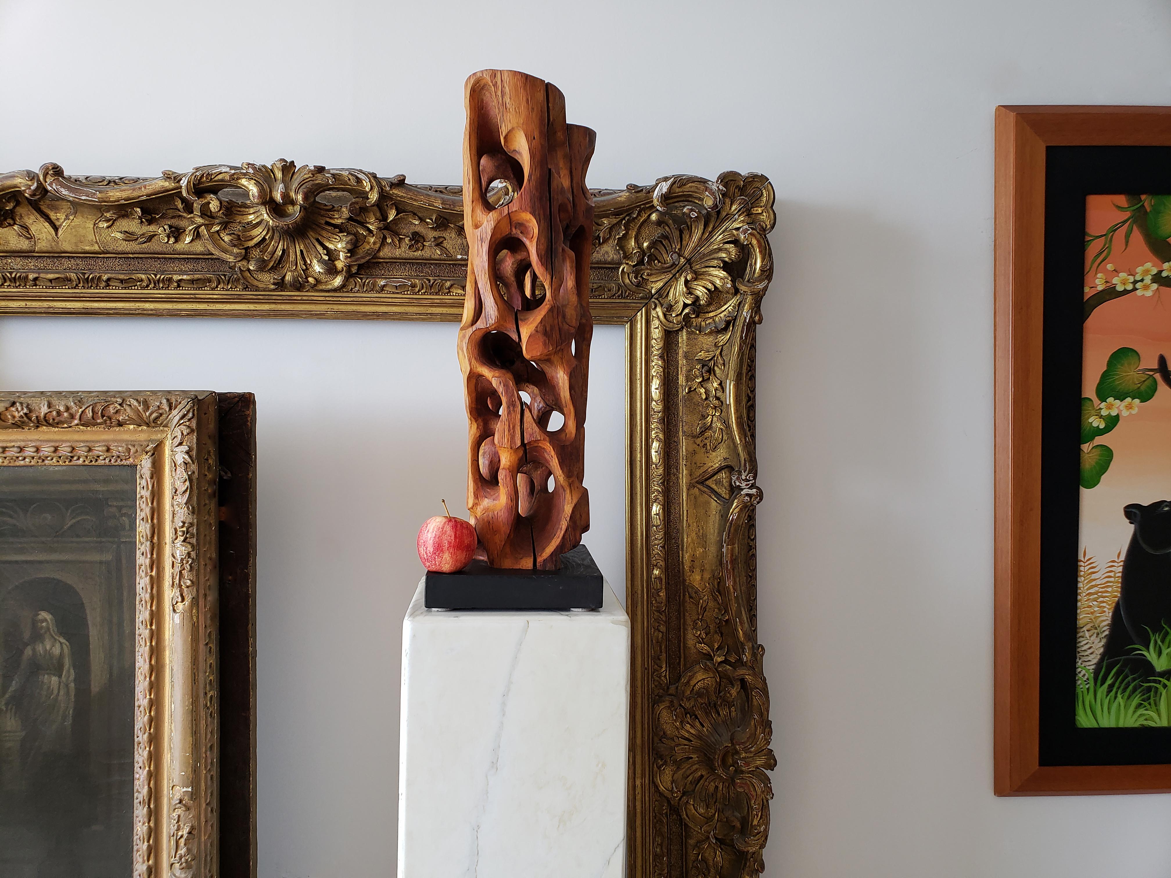 Unbenannte geschnitzte Wood Wood Skulptur - Treibholz (Zeitgenössisch), Sculpture, von Mario Dal Fabbro