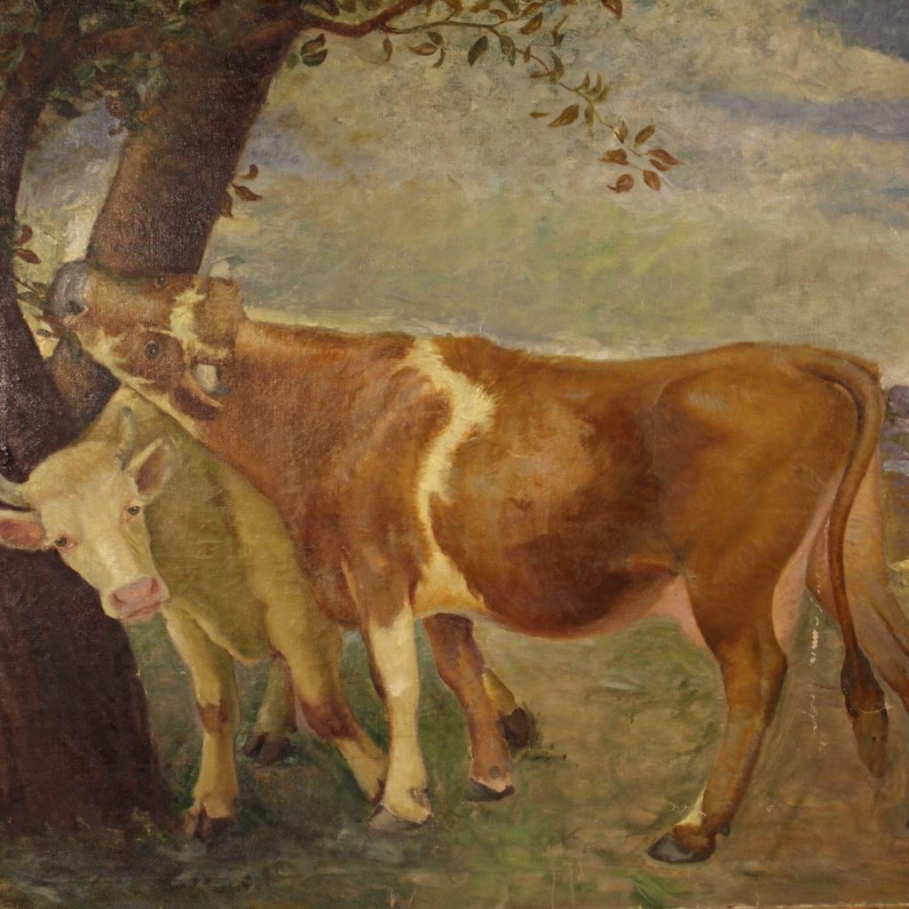Italian painting from the first half of the 20th century. Oil painting on canvas depicting countryside landscape with cows of good pictorial quality signed lower right attributable to Mario Gachet (1879- 1981). Large and impressive framework with a