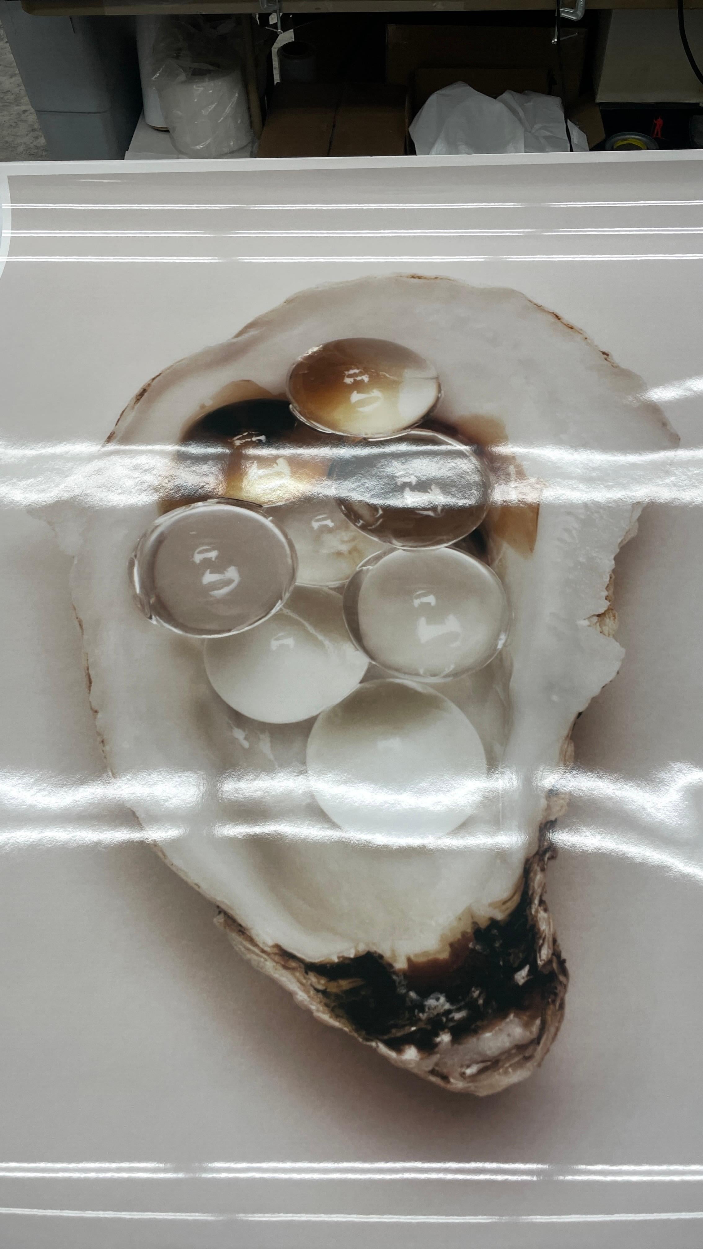 Oyster I, C-Print - editon 4 out of 5 - Photograph by Mario Kroes
