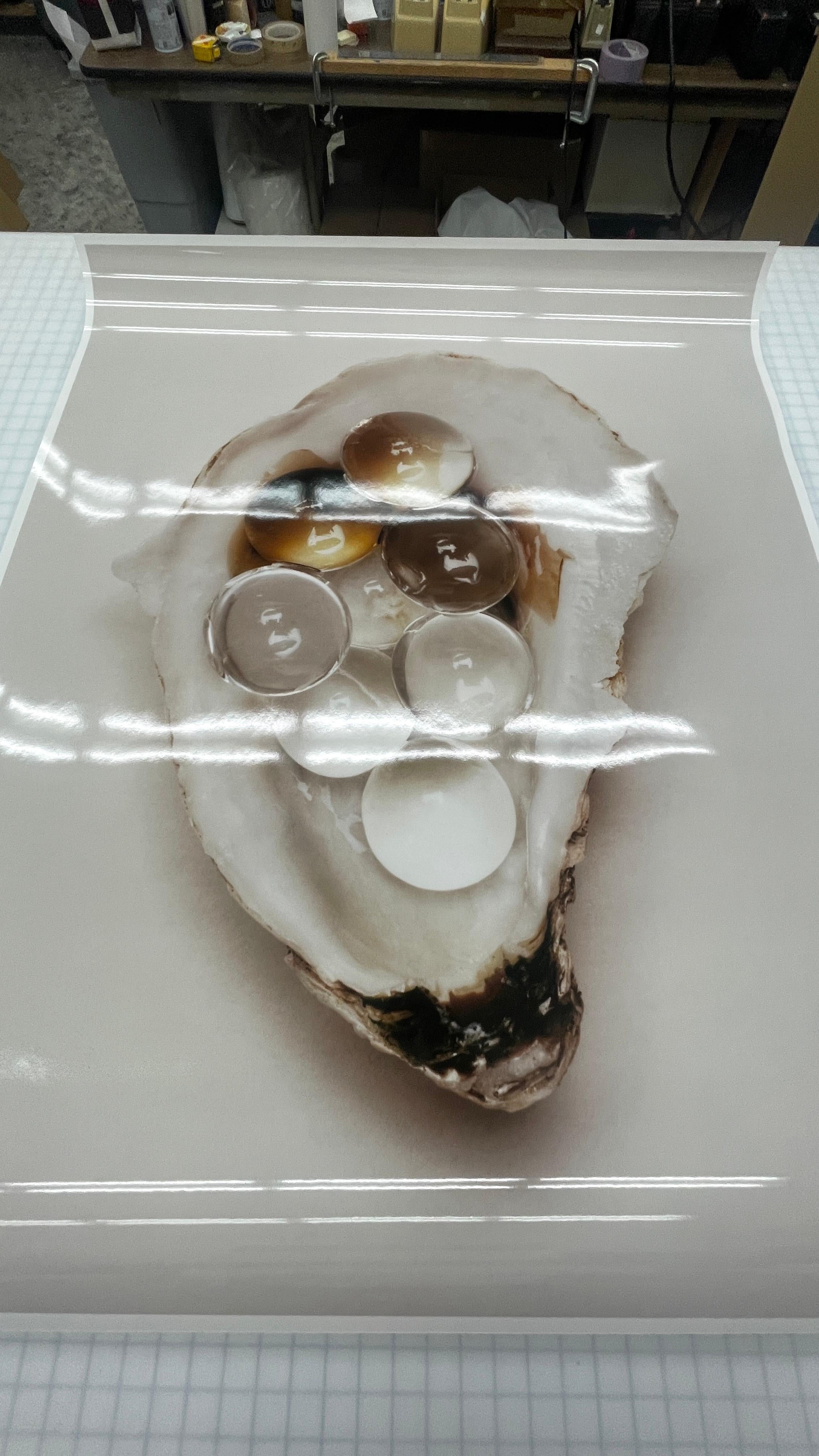 Oyster I, C-Print - editon 4 out of 5 - Beige Still-Life Photograph by Mario Kroes