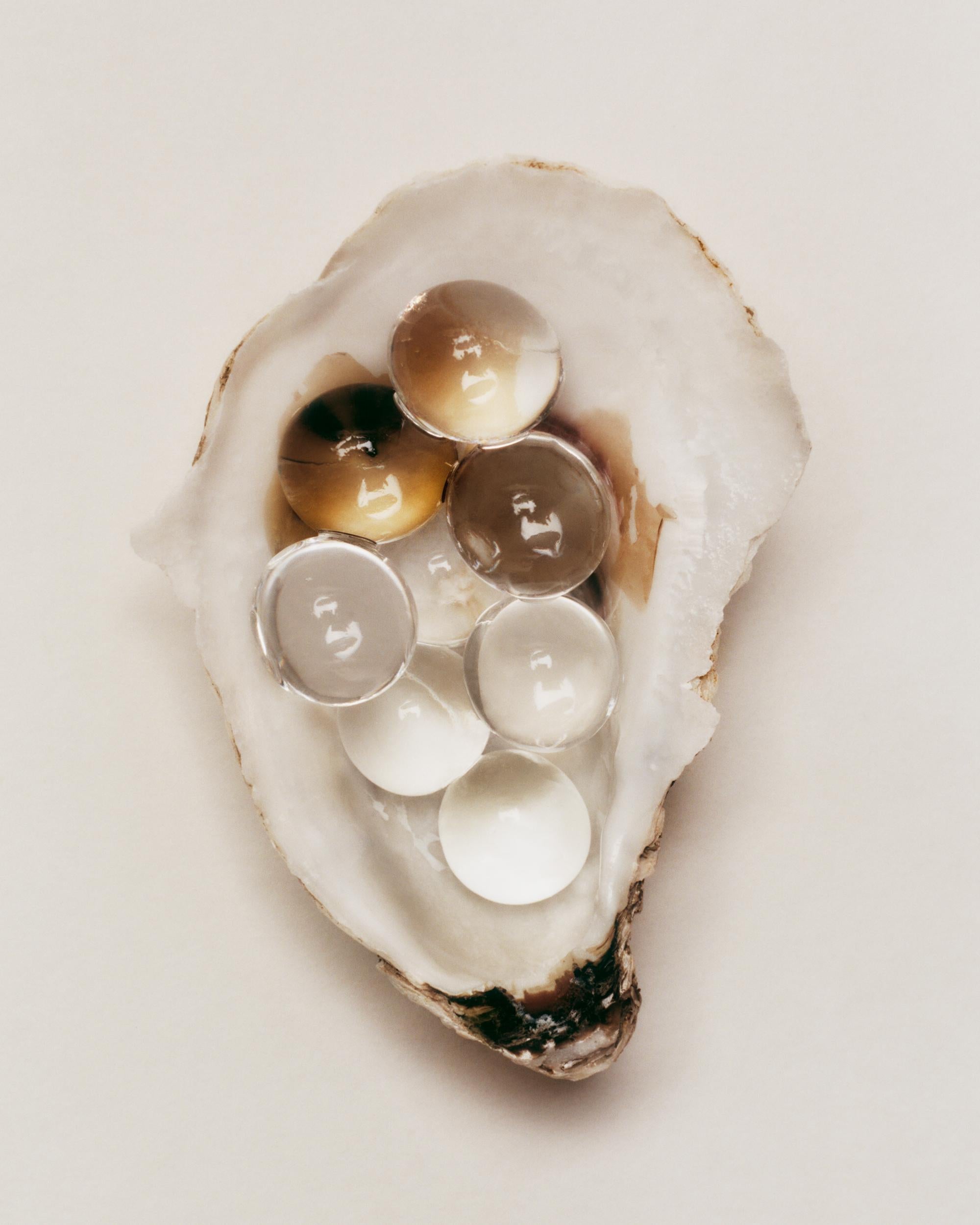 Oyster I, C-Print - editon 4 out of 5